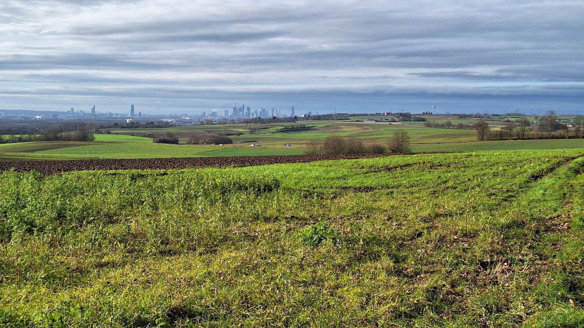 Blick von der Hohen Straße auf die Skyline von Frankfurt