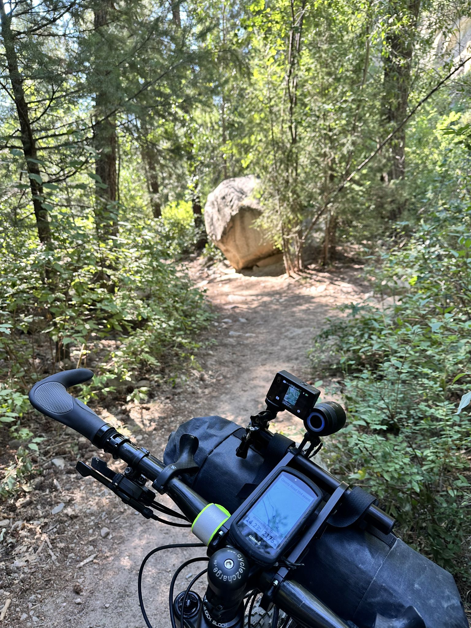 Bicycle handlebars with gear on a sunlit dirt path leading into a forest. - Junction Creek Trail