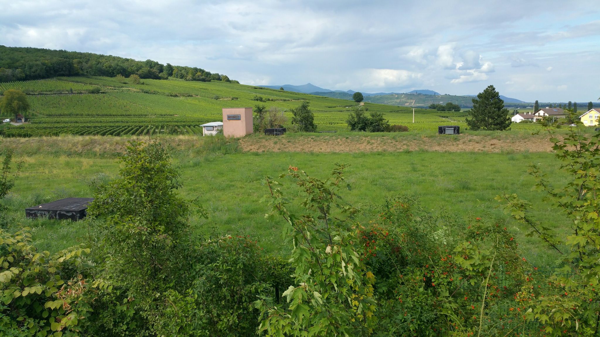 Ingersheim