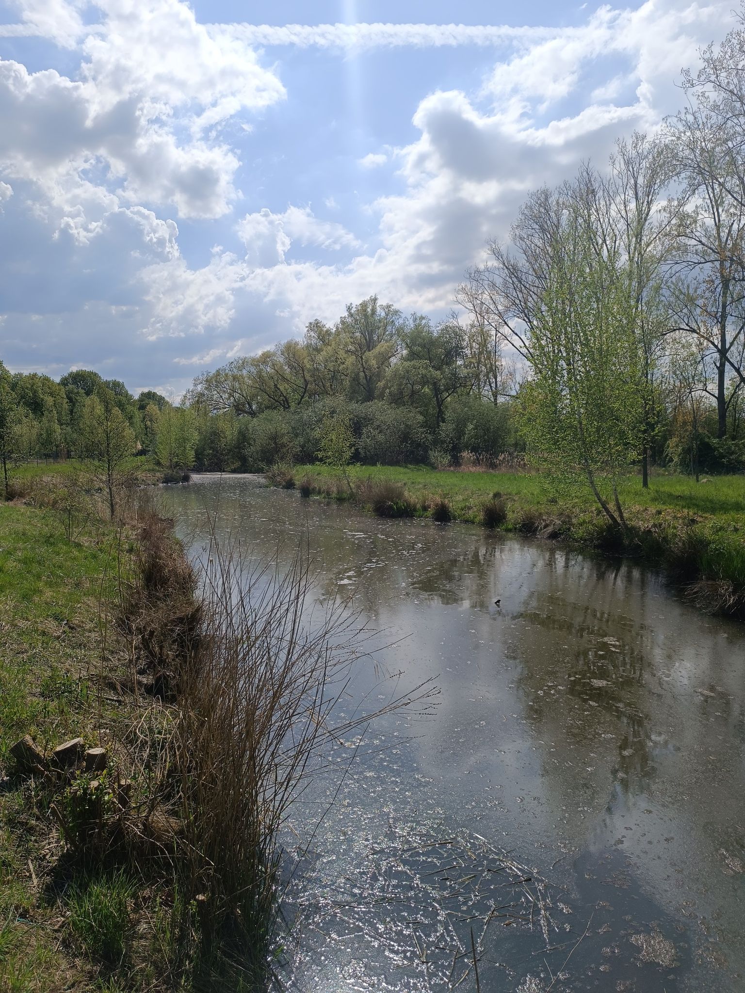 Wieseck