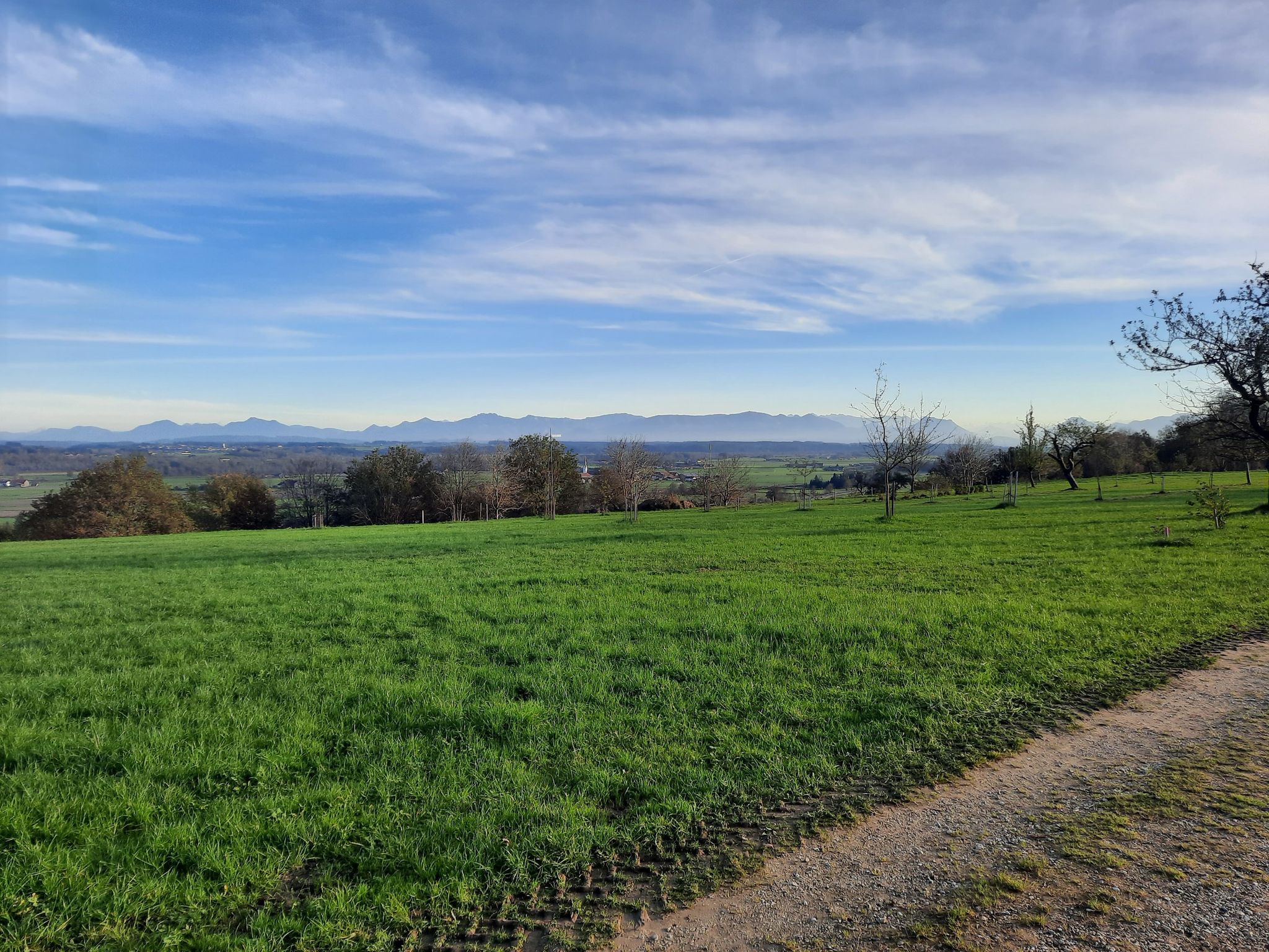 In Natura