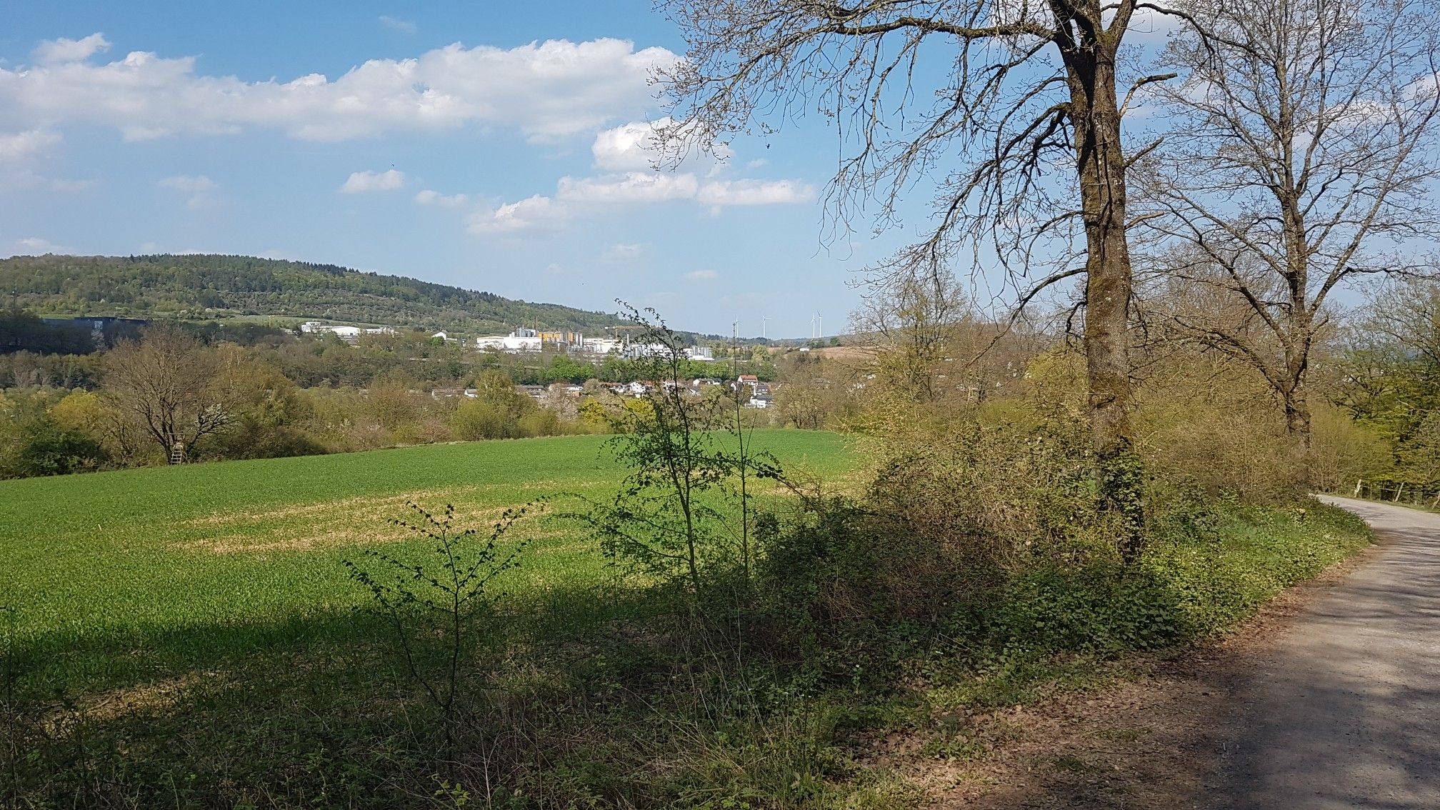 Steinau 