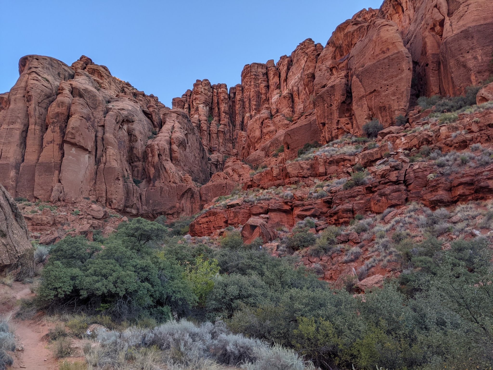 Towering red rock cliffs rise above green desert brush under a clear sky. - Padre Canyon Trail