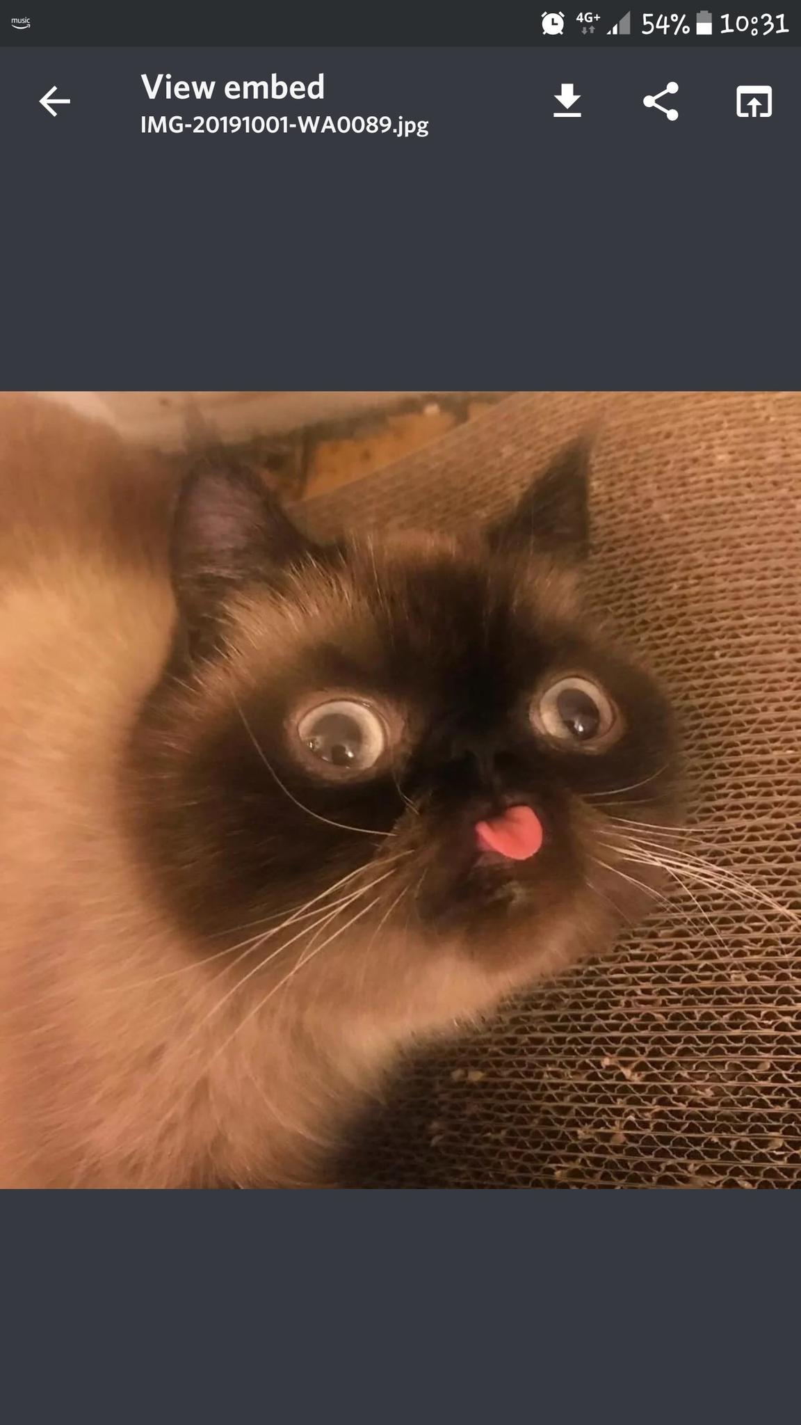user avatar