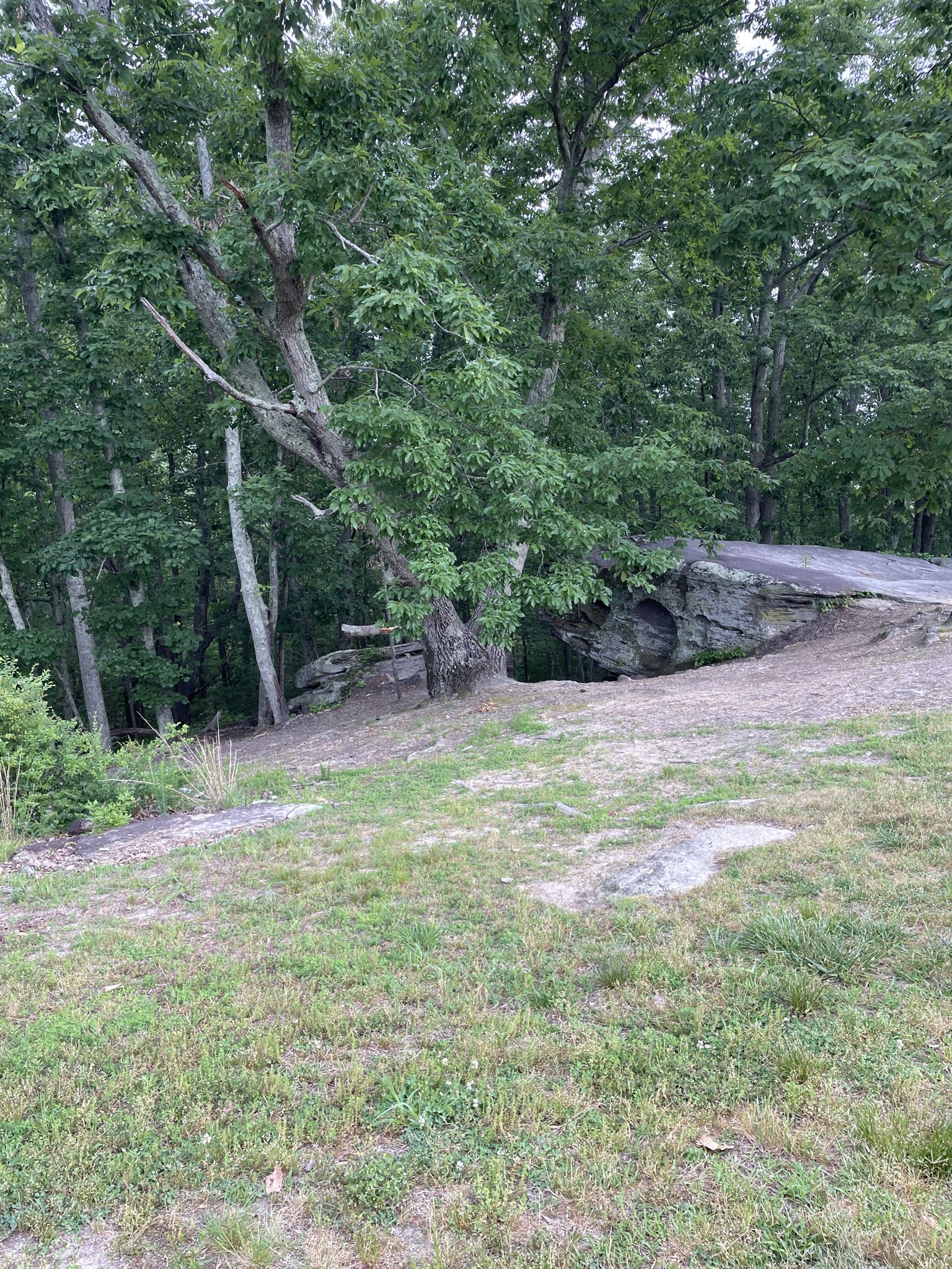Large rock formation on a grassy slope next to a dense forest. - Cherokee Bluffs Bear Paw, Deer Tracks, and Perimeter Trail