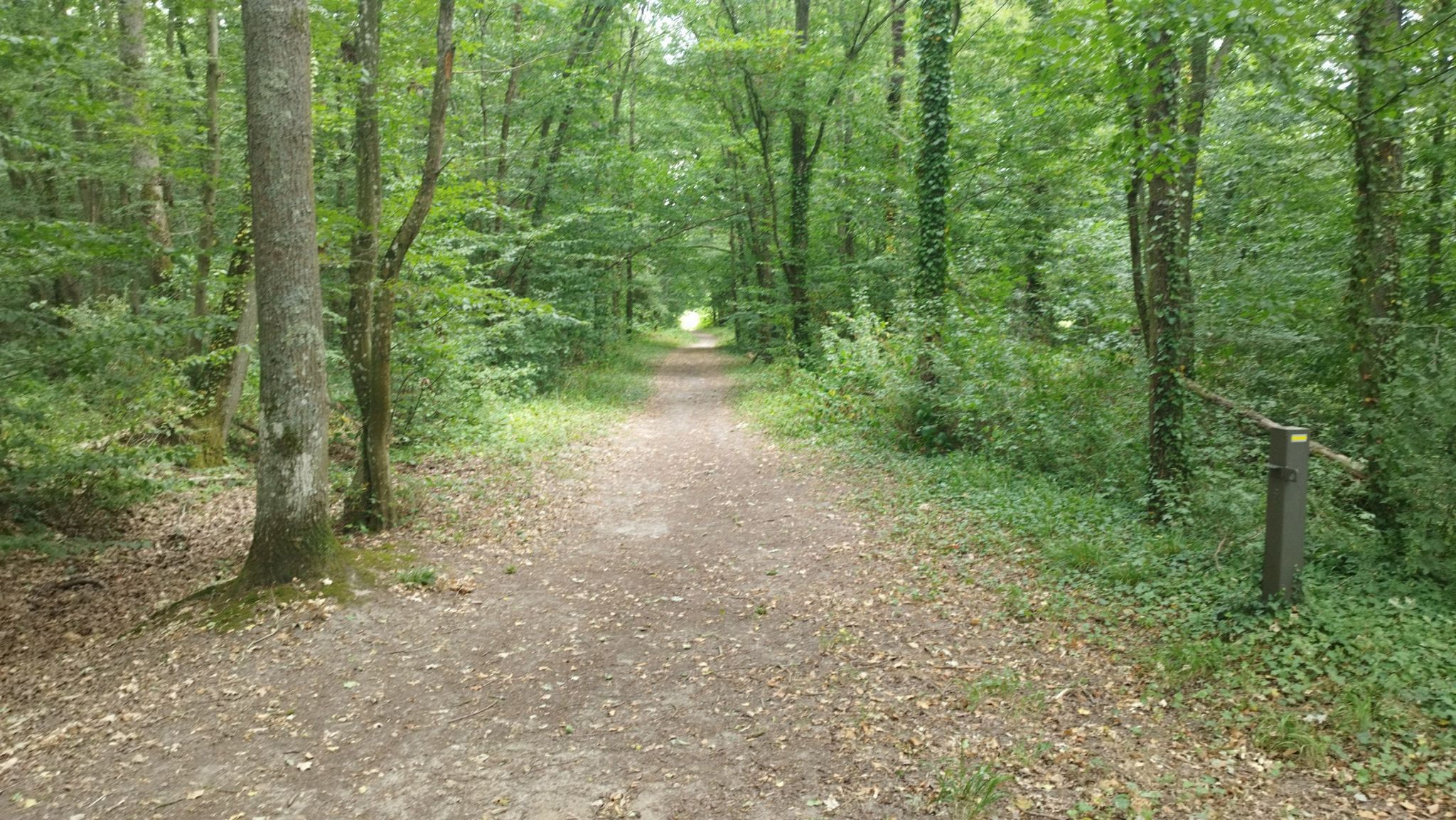 Au bout du tunnel, la lumière 