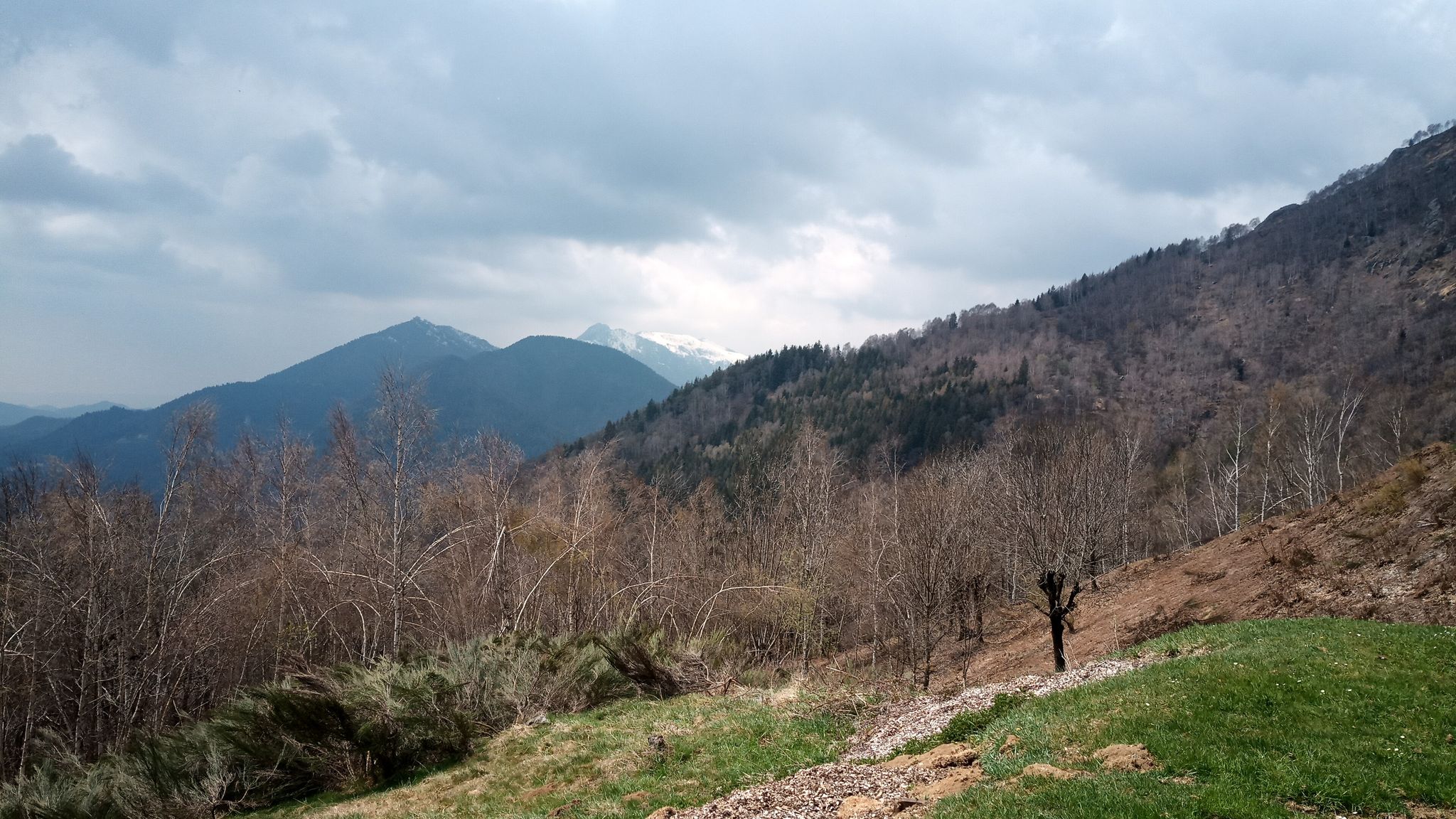 Vista dall'Alpe Noveis