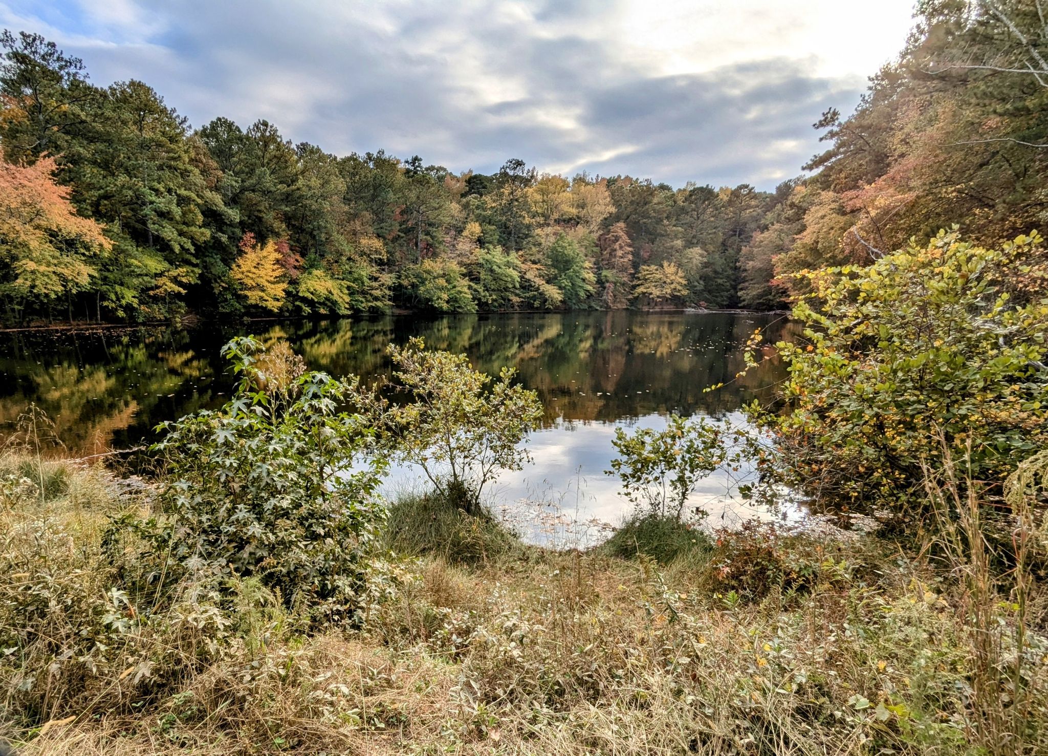 Calm lake reflecting cloudy sky, surrounded by vibrant autumn trees. - Cochran Shoals and Sope Creek Loop
