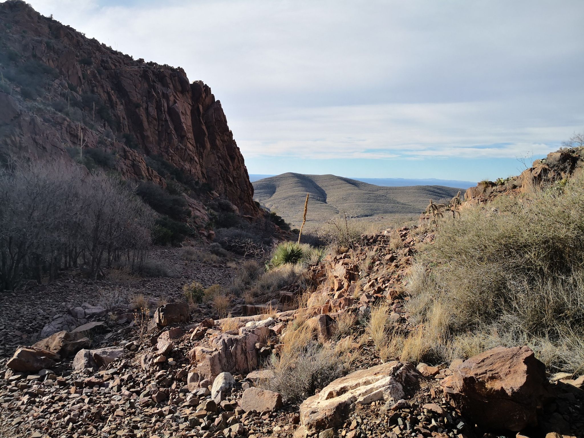 Rocky desert canyon with steep red cliffs under a partly cloudy sky. - North Franklin Peak Trail