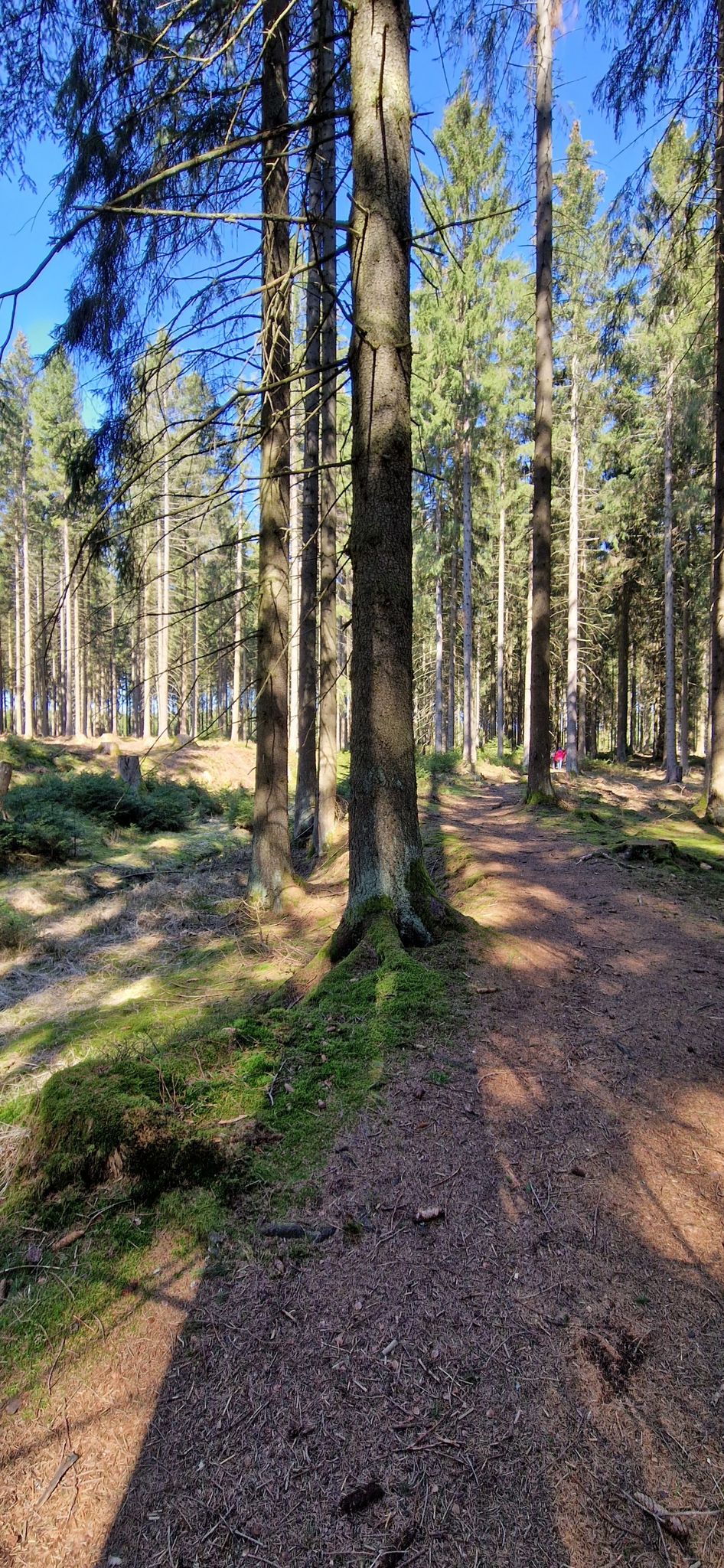 der Weg entlang am oberen Floßgraben