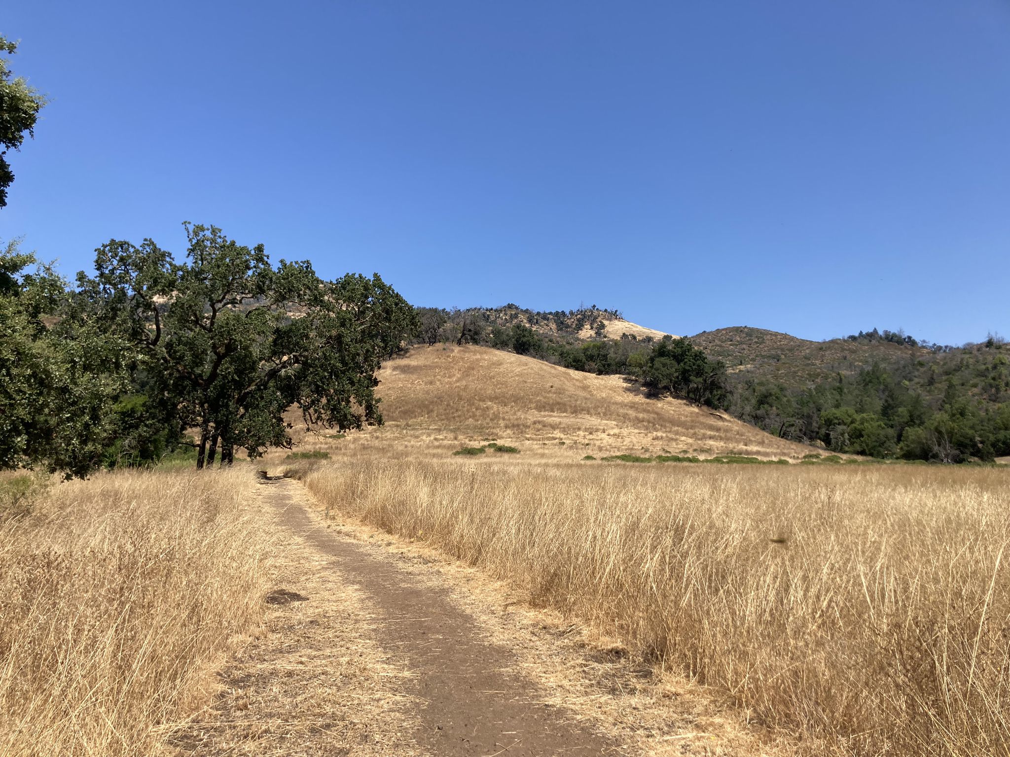 Dirt path through golden dry grass leading to distant hills under a clear sky. - Hiking loop from Day Use Parking