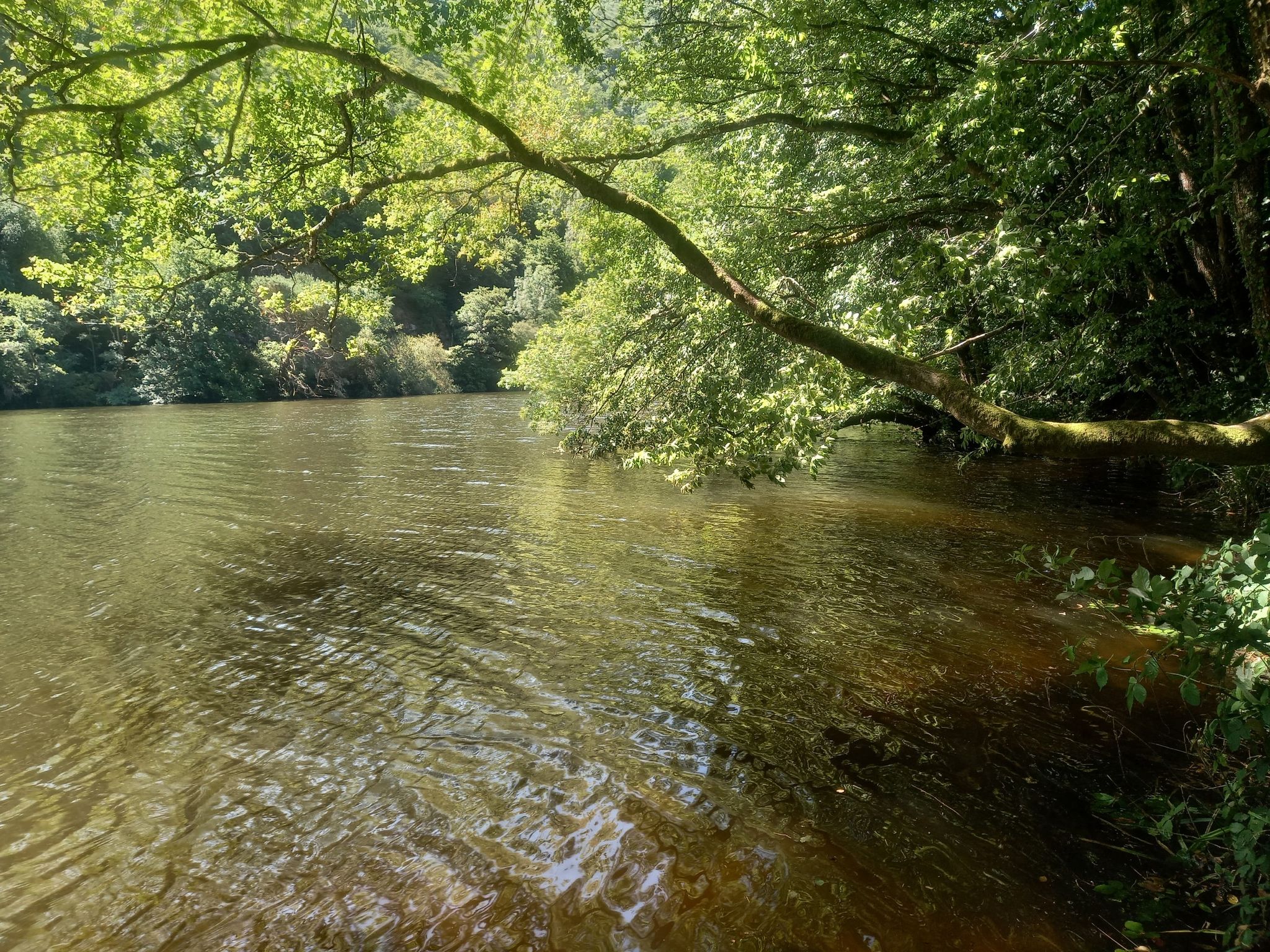 Le Dordogne