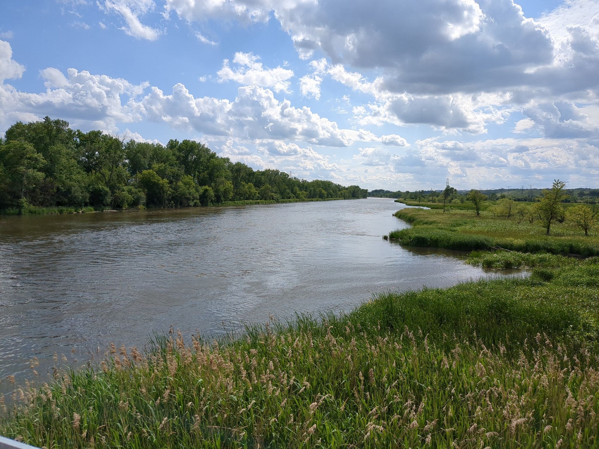 Wide river flowing past dense green trees under a cloudy sky. - Des Plaines River - Waterfall Glen Trail & Centennial Trail Loop
