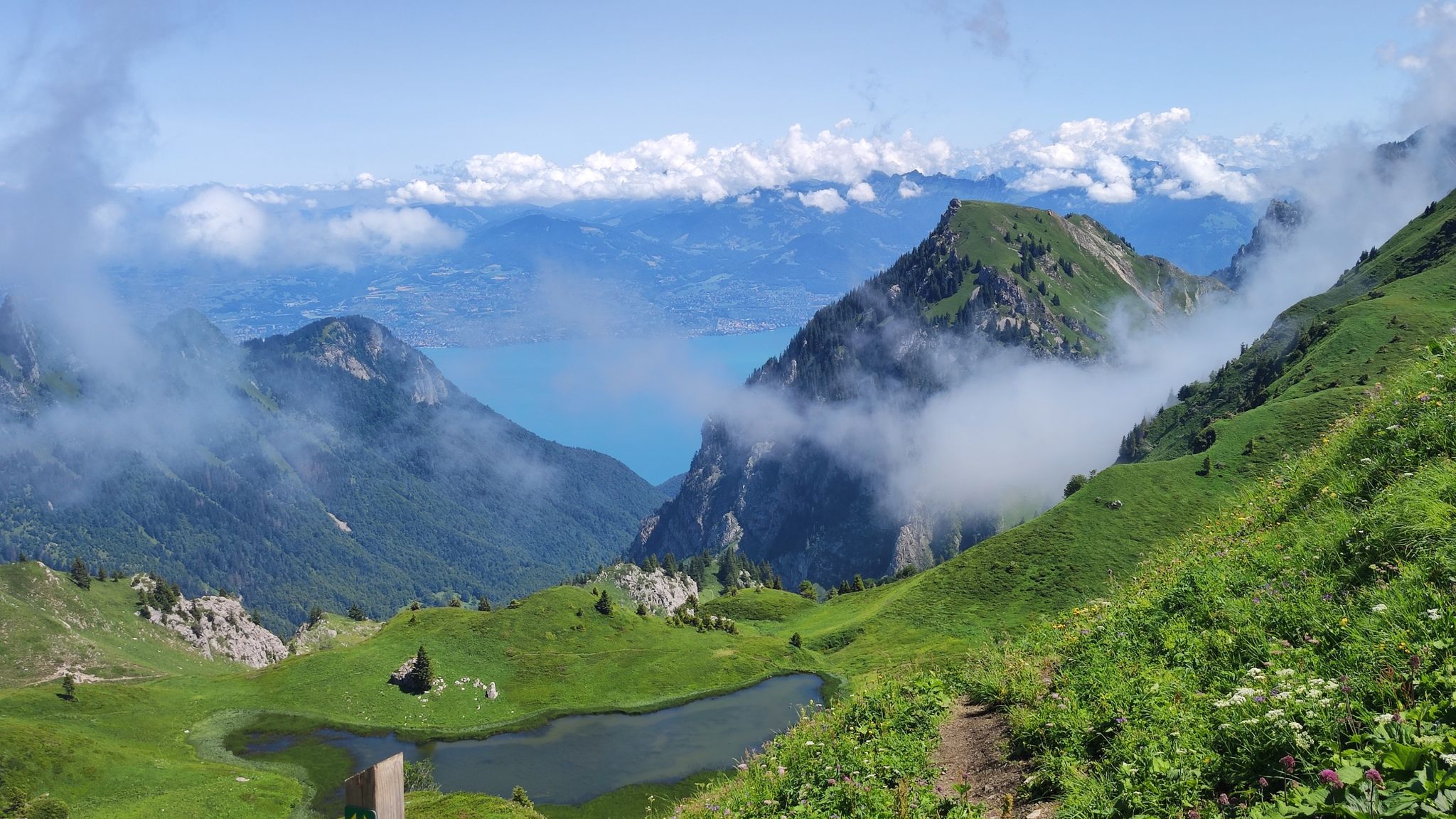 Blick bis zum Genfer See