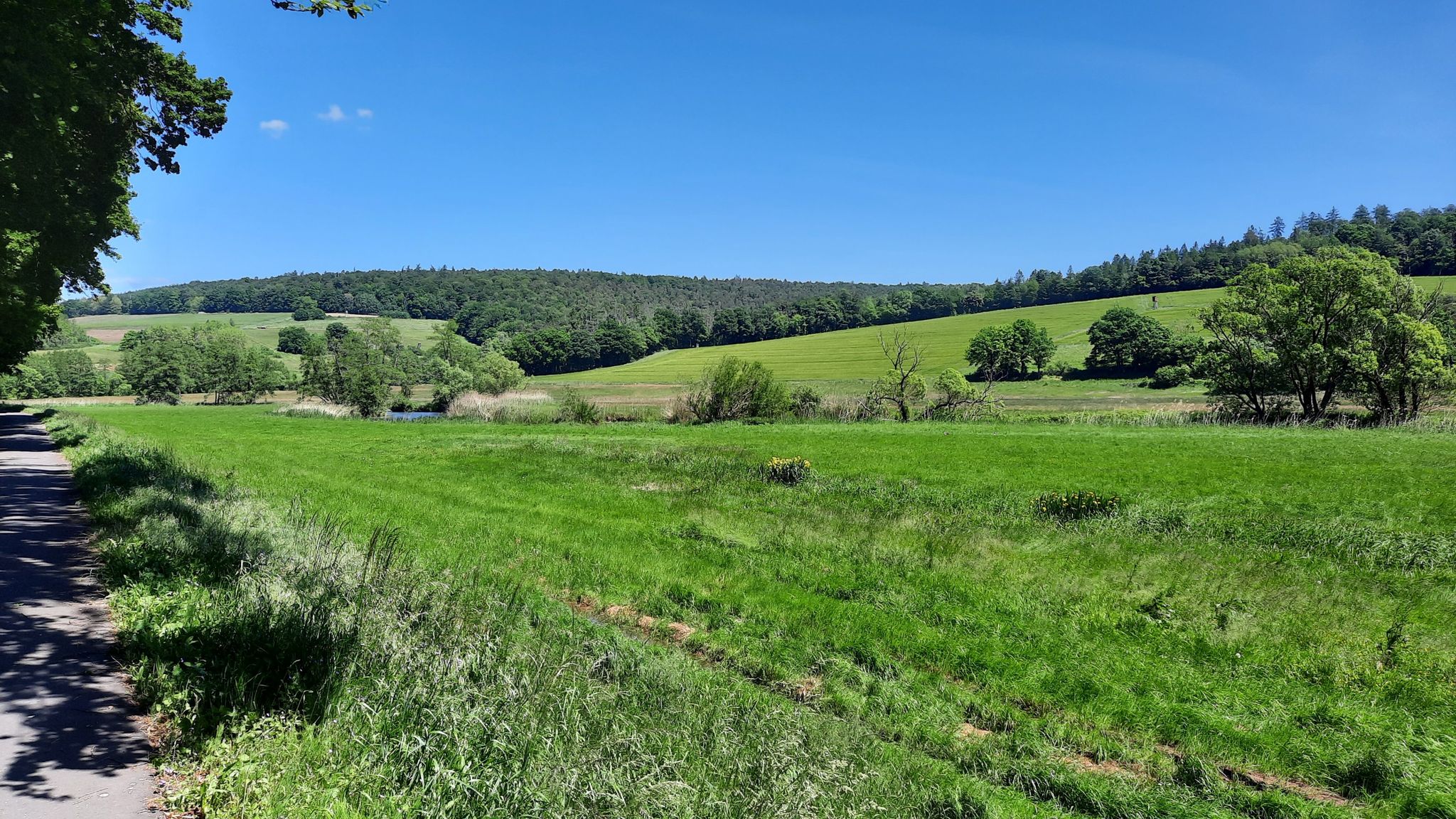 Fuldaaue bei Pfordt