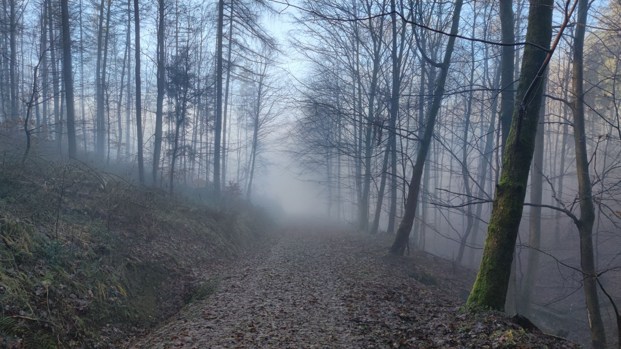 Rein in den Nebel, mit einmal richtig kalt.