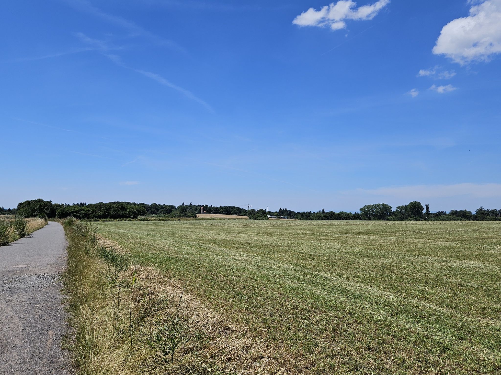 Blick in Richtung Mathildenhöhe