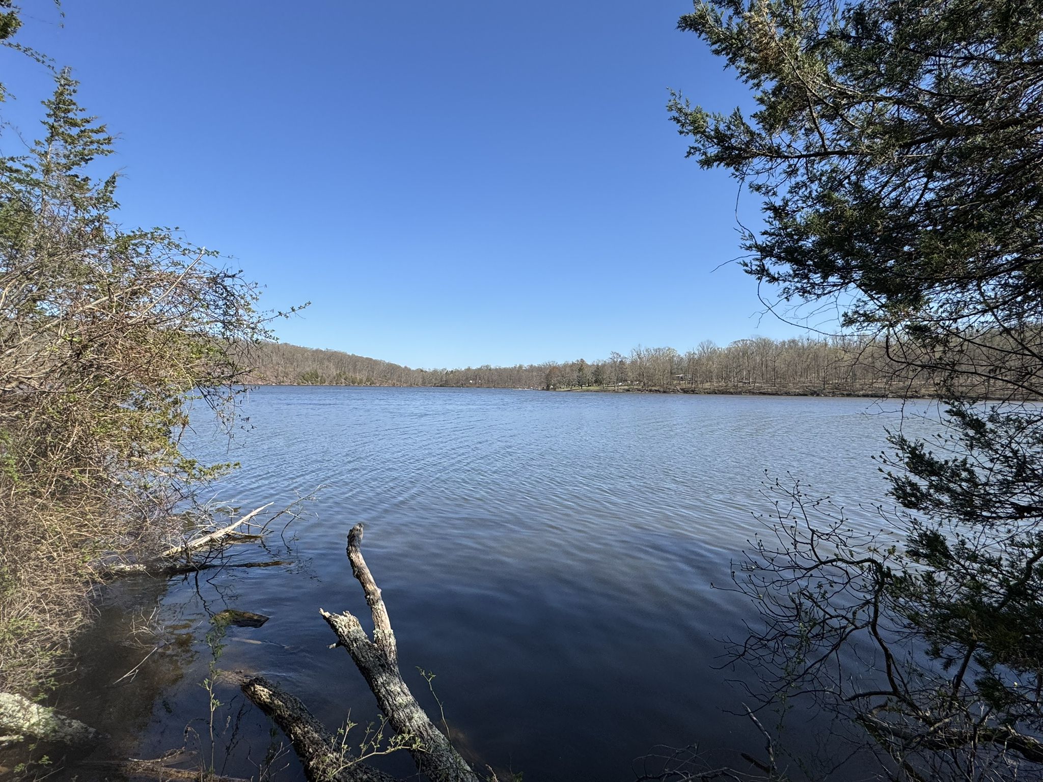Wide lake view from shore, framed by trees, under a clear blue sky. - Red and Honeysuckle Trail Loop