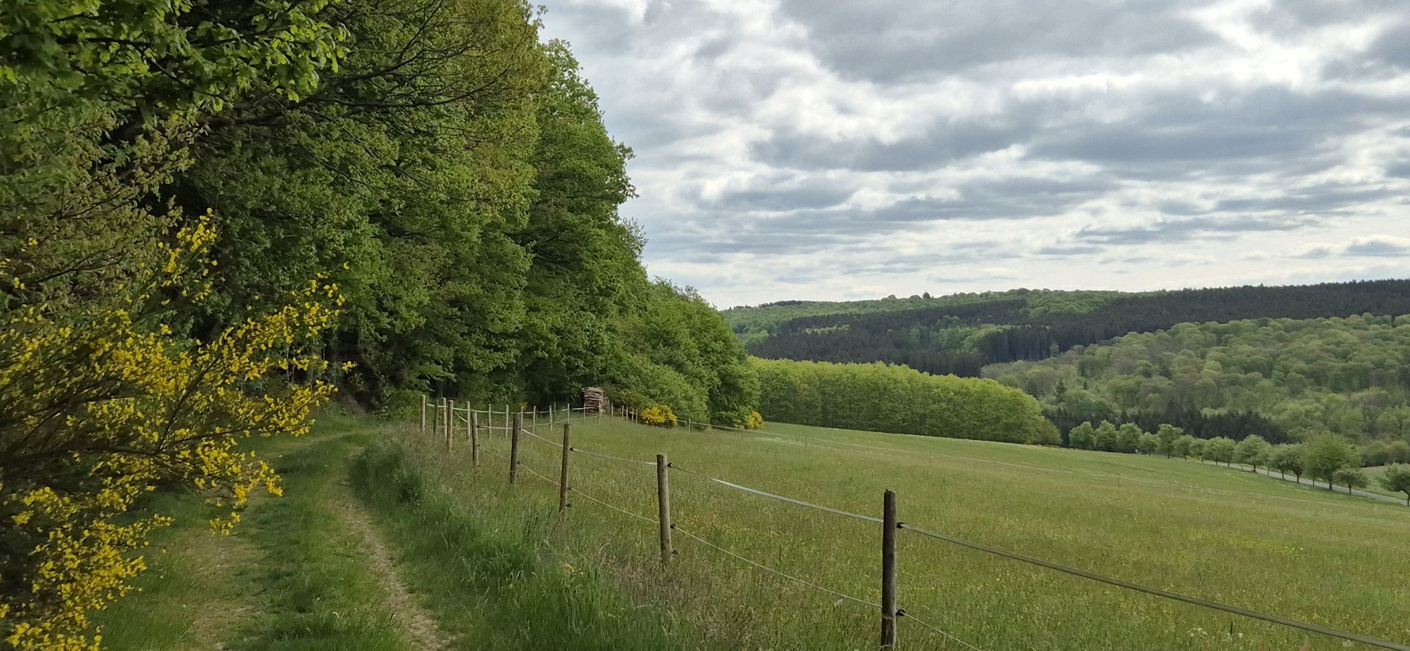 Vorbei an Wolfsgalgen