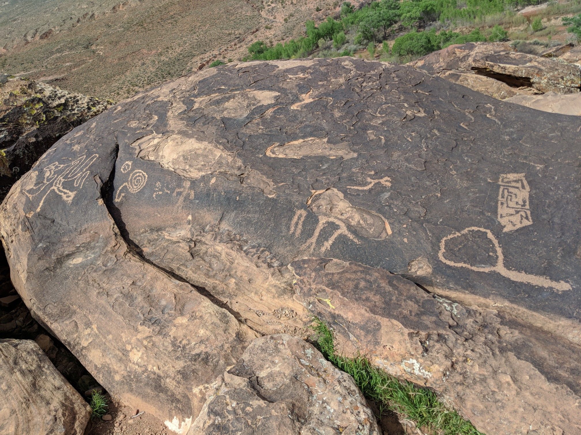 Dark rock covered in ancient petroglyphs, with a desert landscape background. - Tempi'po'op Trail