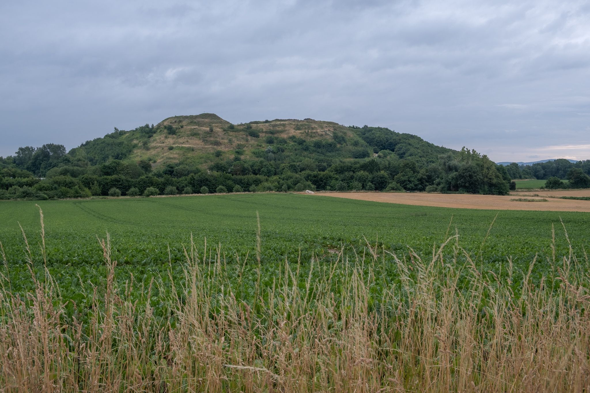 weiter zum Gehrdener Berg an der begrünten, ehem. Kalihalde Empelde vorbei