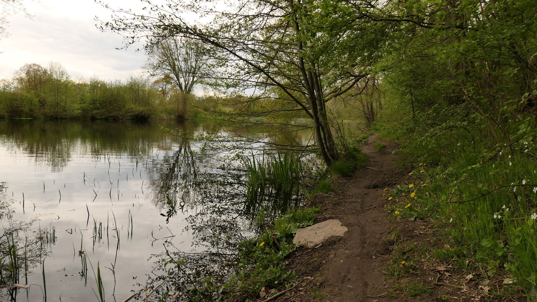 mit lauschigem Teich🦢🦢