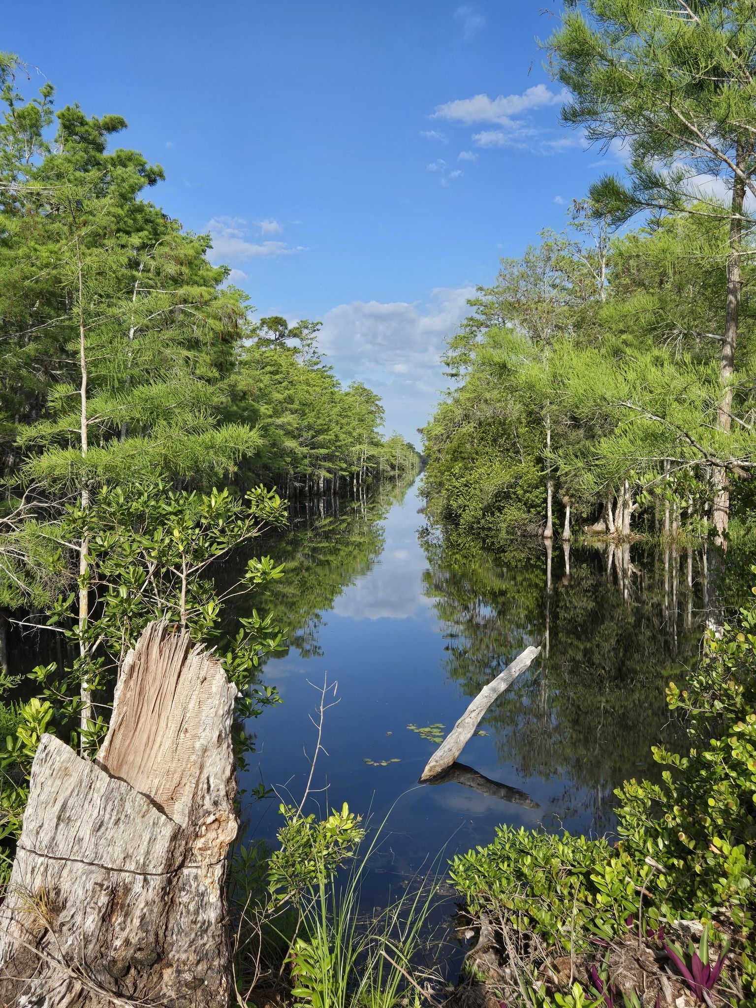 Narrow waterway through lush green trees under a bright blue sky. - Apoxee Trailhead – Owahee Trail loop from Rapids Water Park