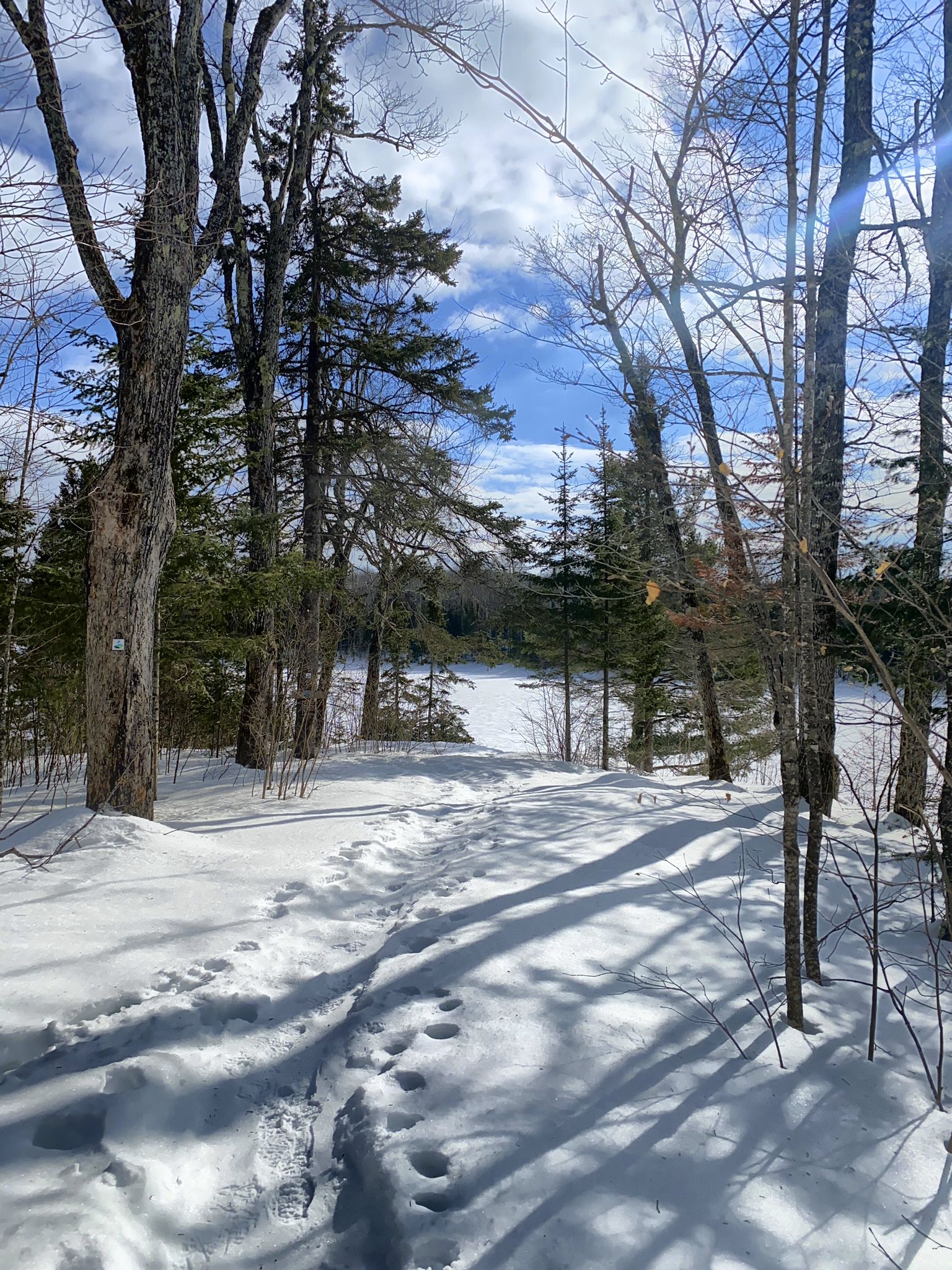 Snowy path with footprints leading through tall trees on a bright day. - Lake Agnes loop from East Poplar River