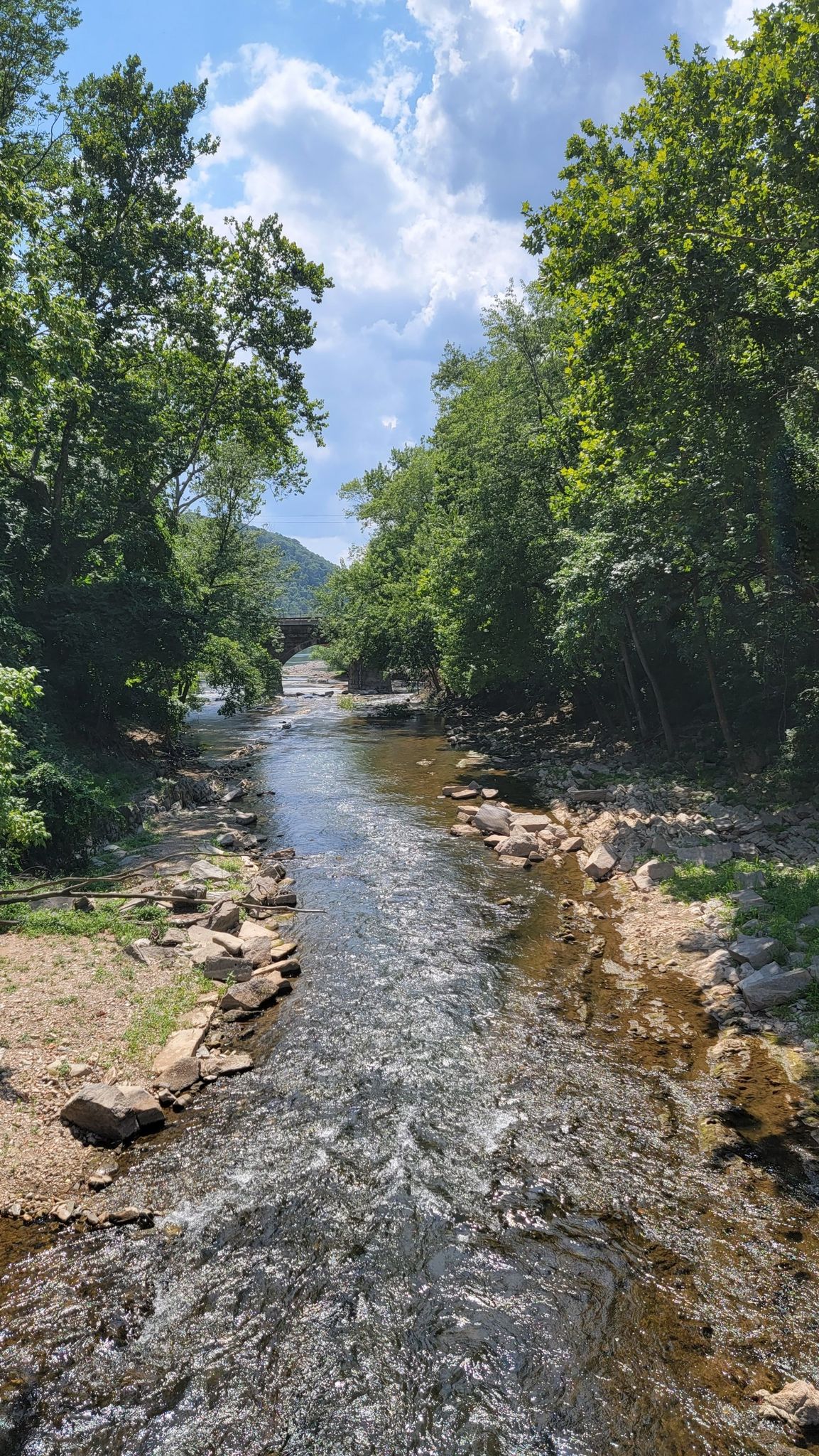 River flowing through green forest under a partly cloudy sky, distant stone bridge. - Old Trolley Line Bridge – Chickies Rock County Park loop from Columbia