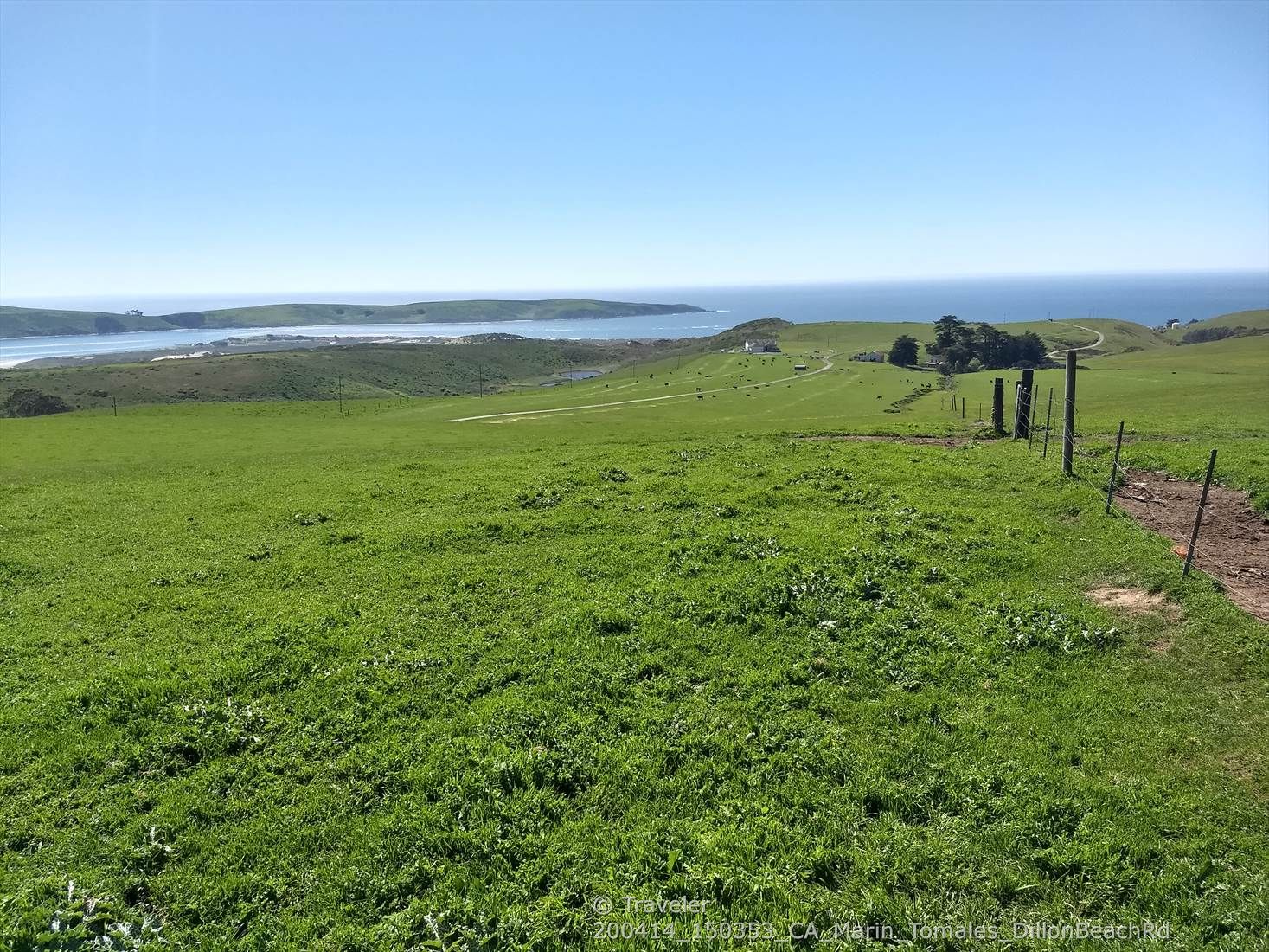 Green rolling hills overlook a distant bay under a clear blue sky. - Estero de San Antonio – Tomales loop from Tomales