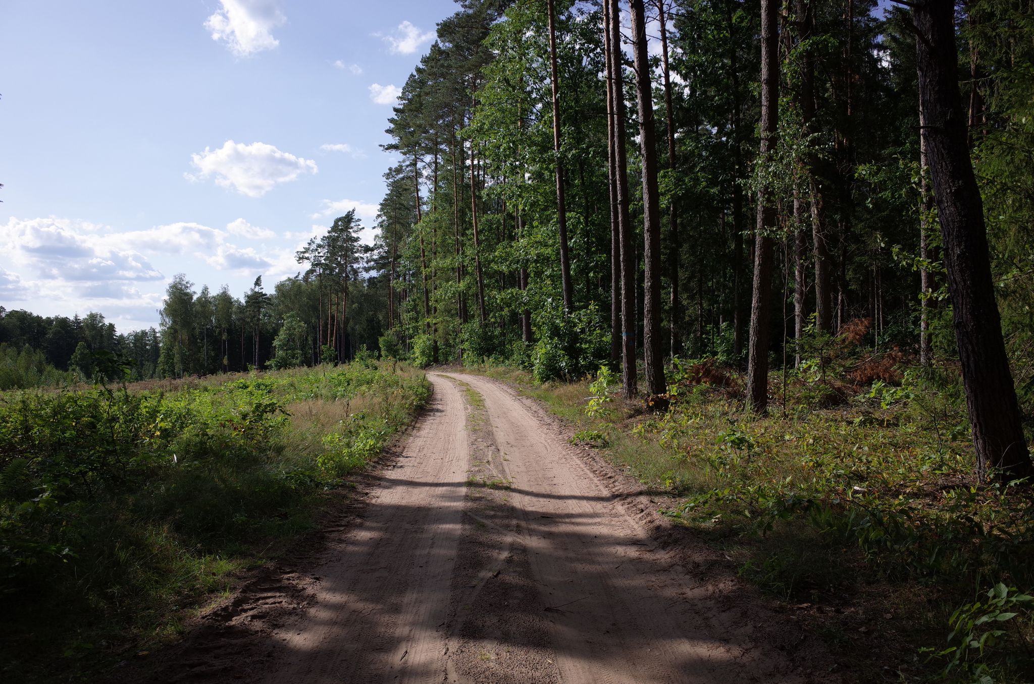 Supraśl.