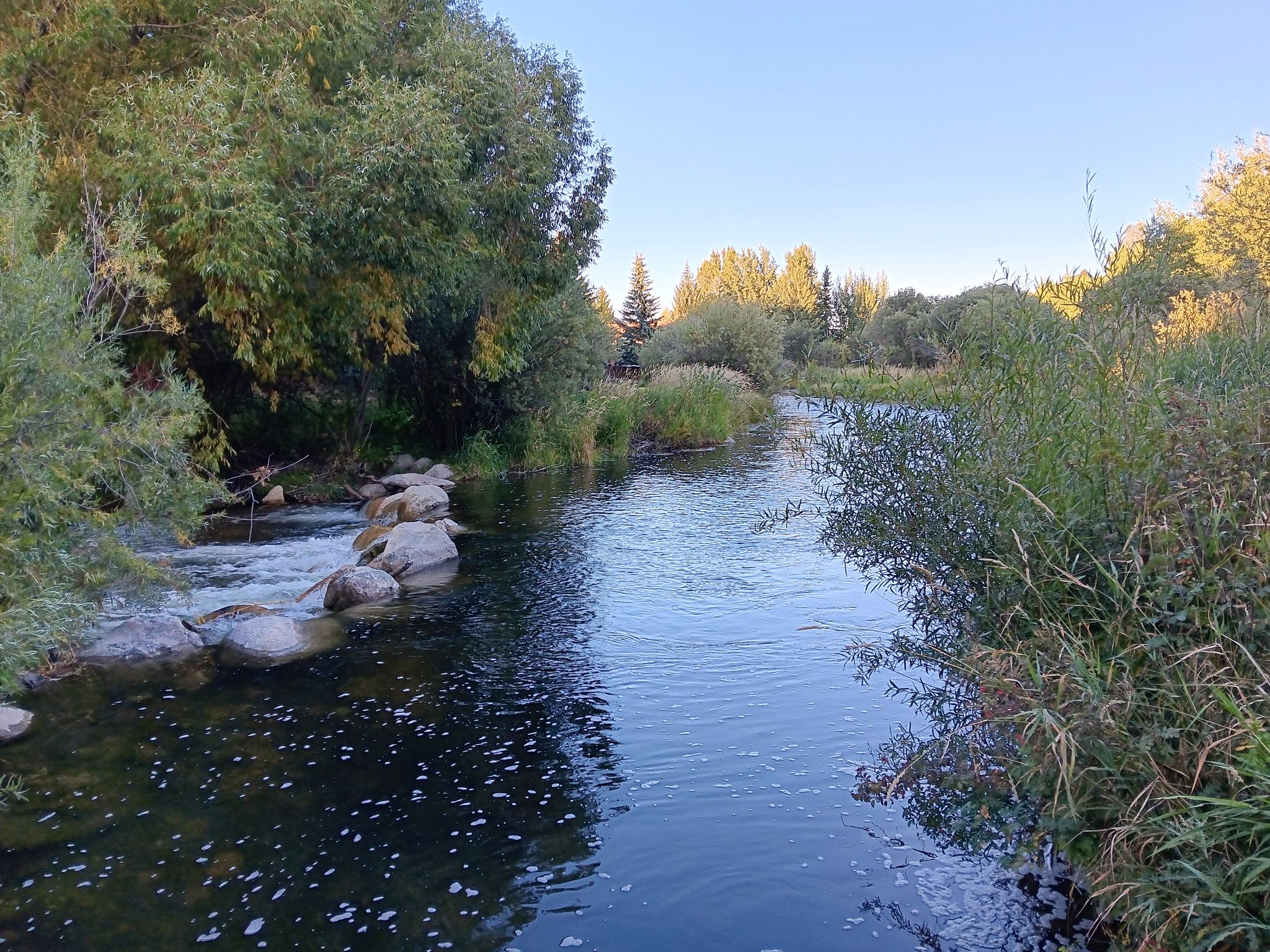 Clear river flowing past rocks and dense green trees under a bright sky. - Snow King Mountain – Sink or Swim Trail loop from Maverick, Broadway and Huff