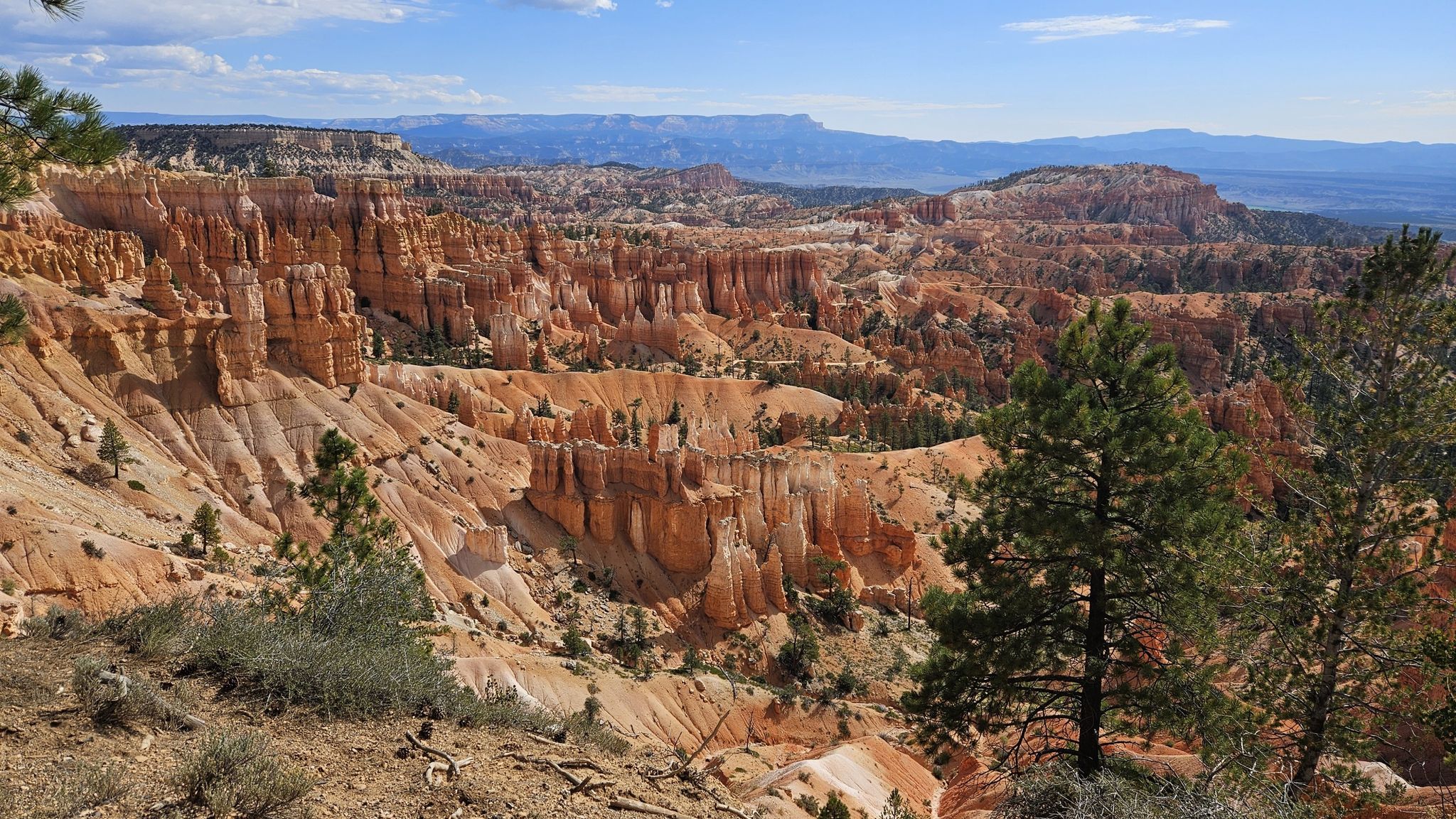 Vast canyon with orange rock formations and green trees under a partly cloudy sky. - Sunset and Inspiration Points via Rim Trail and Bryce Canyon Path