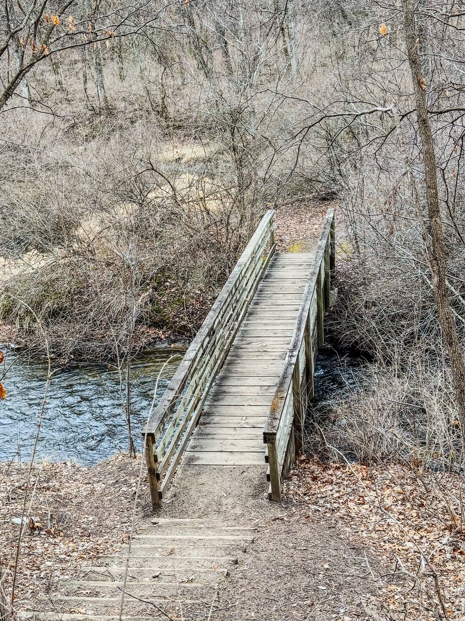 A wooden footbridge crosses a stream in a wooded area with bare trees. - Staring Lake – Purgatory Creek Trail loop from Franlo Rd