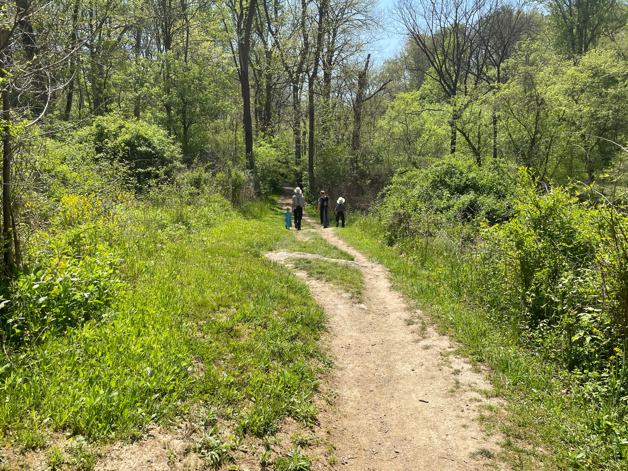 A group of people walk on a sunny dirt path through a lush green forest. - Scout and Mill Creek Loop