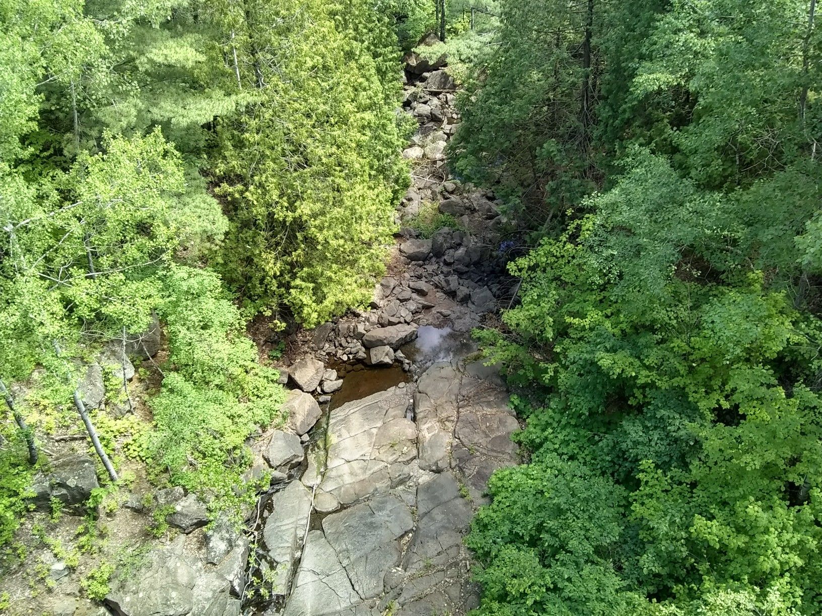 Rocky stream bed winding through a dense green forest from above. - Ely's Peak – Enger Tower loop from Norton Park
