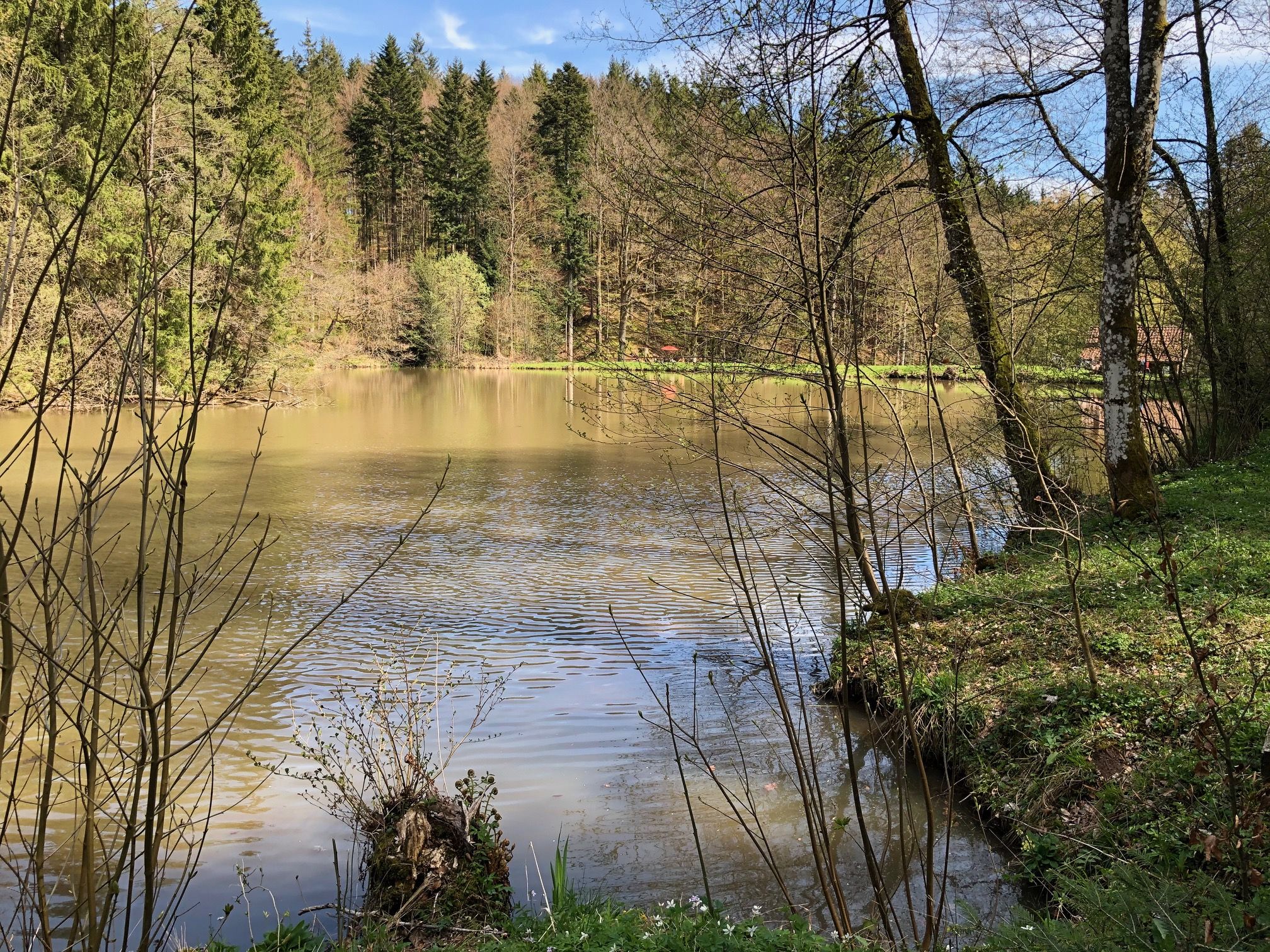 Schärtlensweiher