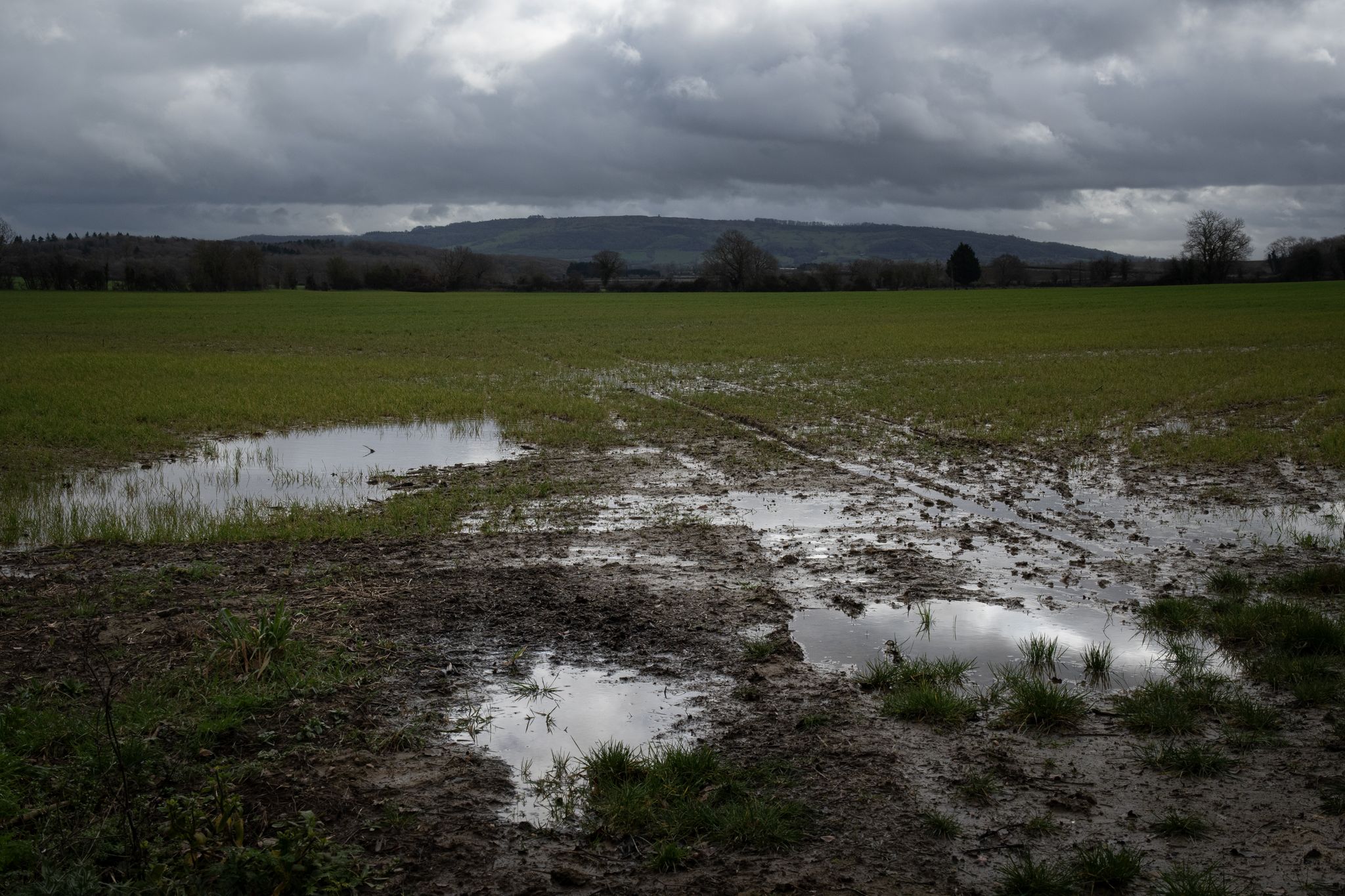 Distant Bredon Hill over the saturated fields