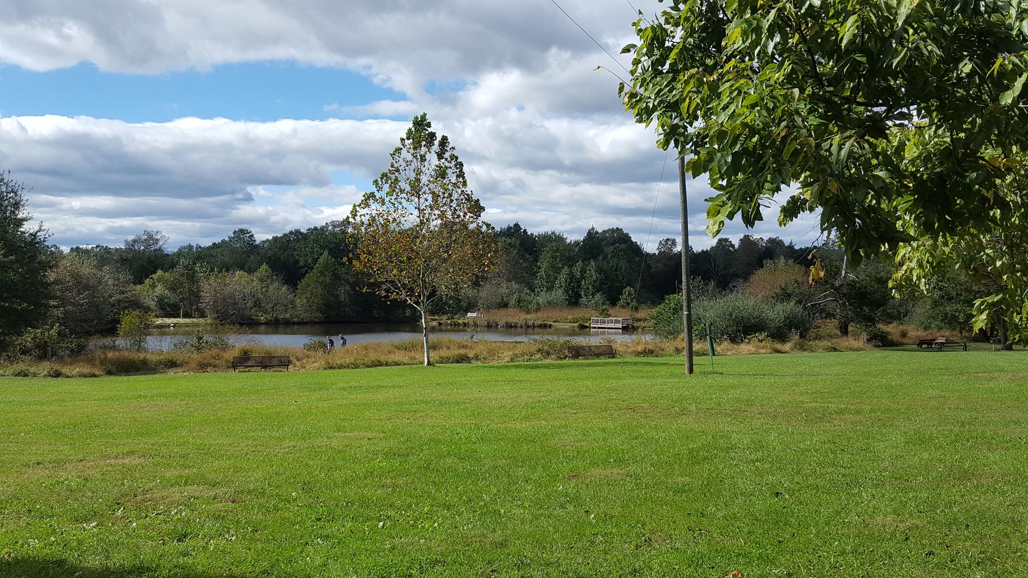 Grassy field leading to a lake surrounded by trees under a partly cloudy sky. - The Scout Trail