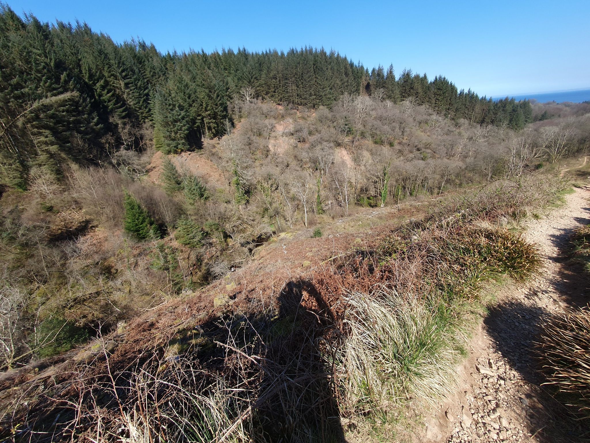 glenashdale