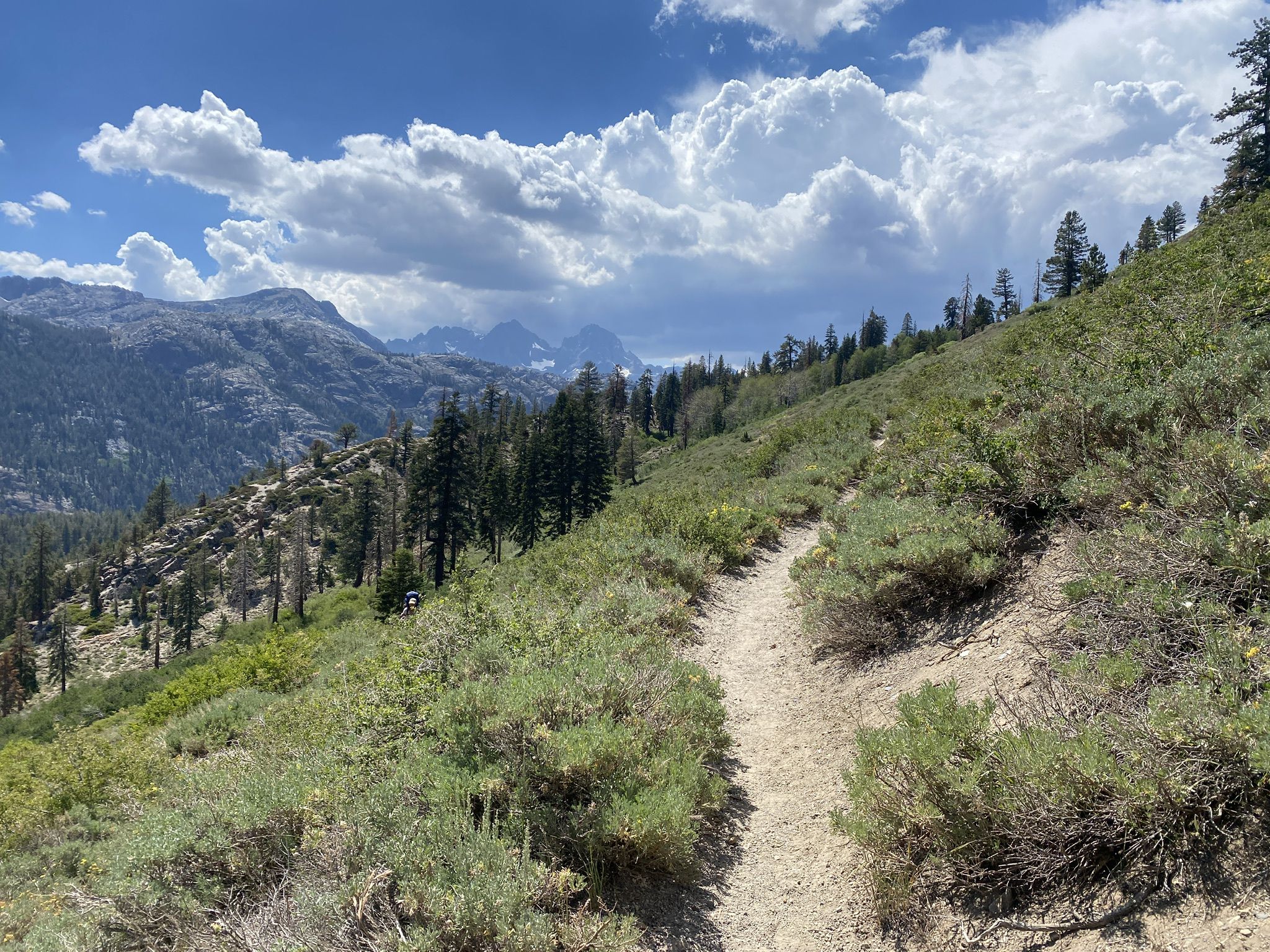 Winding dirt trail through green shrubs on a hillside under a cloudy blue sky. - High Trail