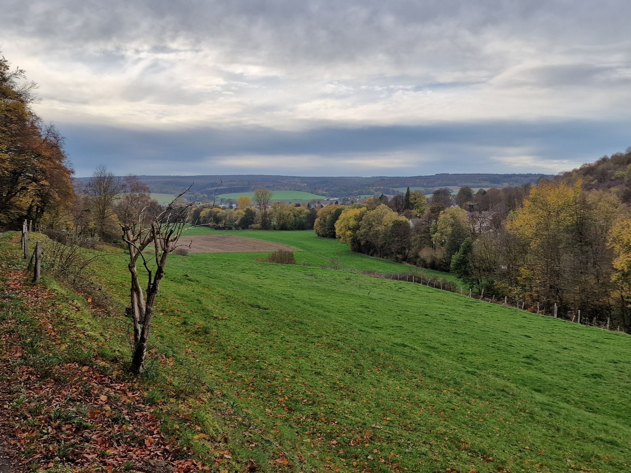 Verstecktes Dassel