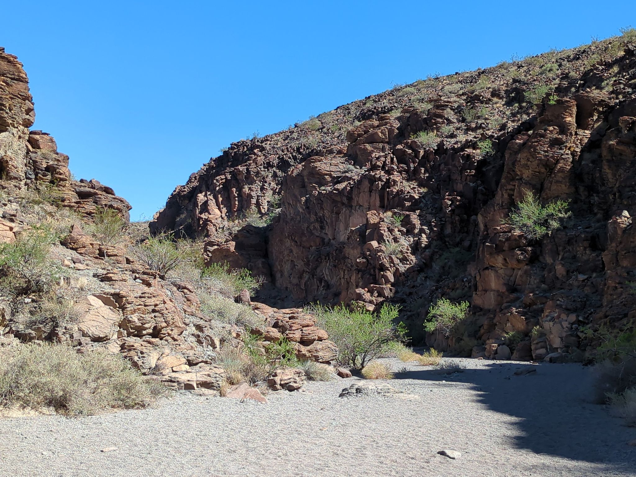 Sunny desert canyon with rocky walls, sparse vegetation, and a sandy wash. - Petroglyph Trail and Cowboy Trail Loop