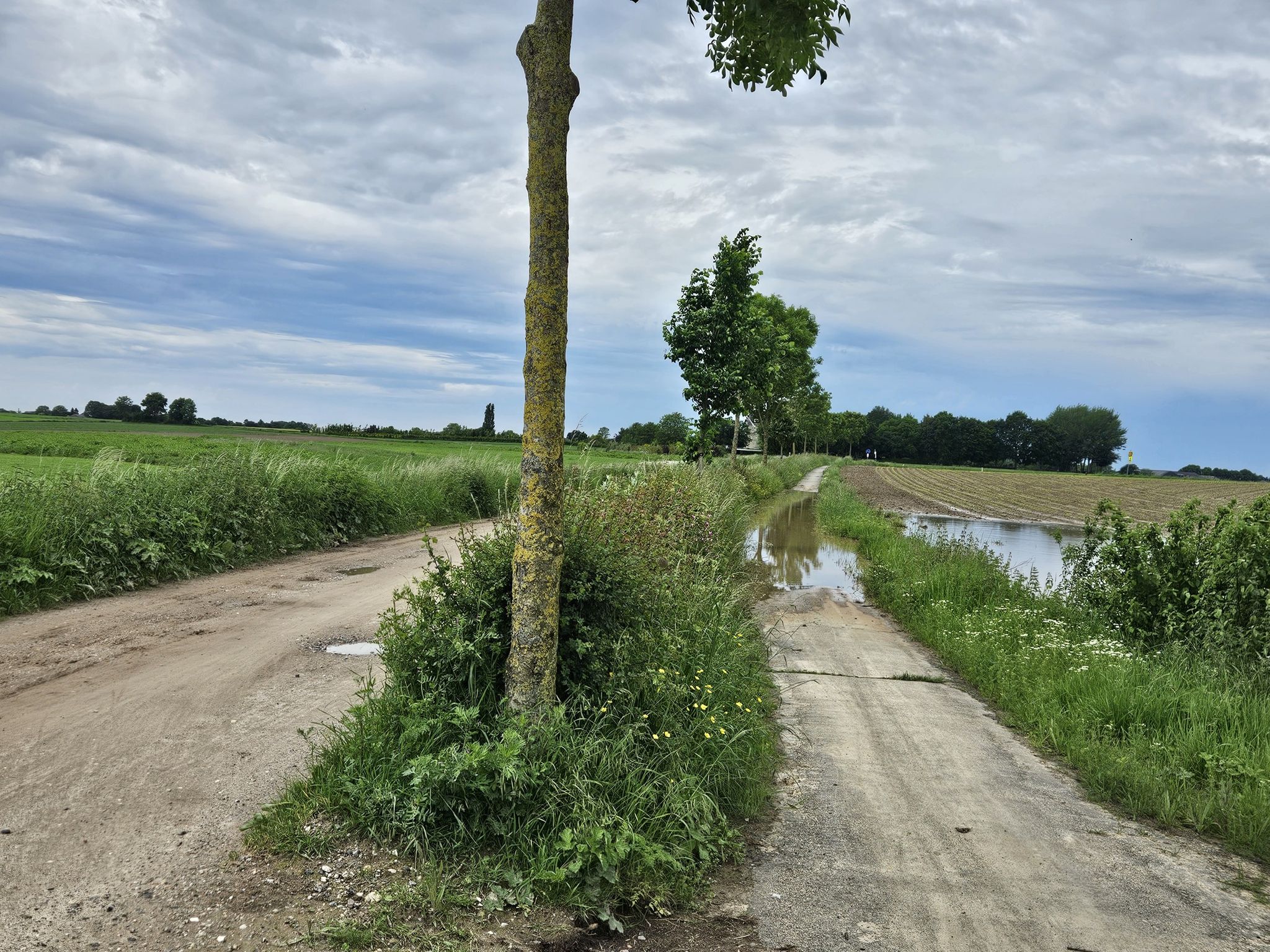 Schöner Radweg, aber hier überschwemmt