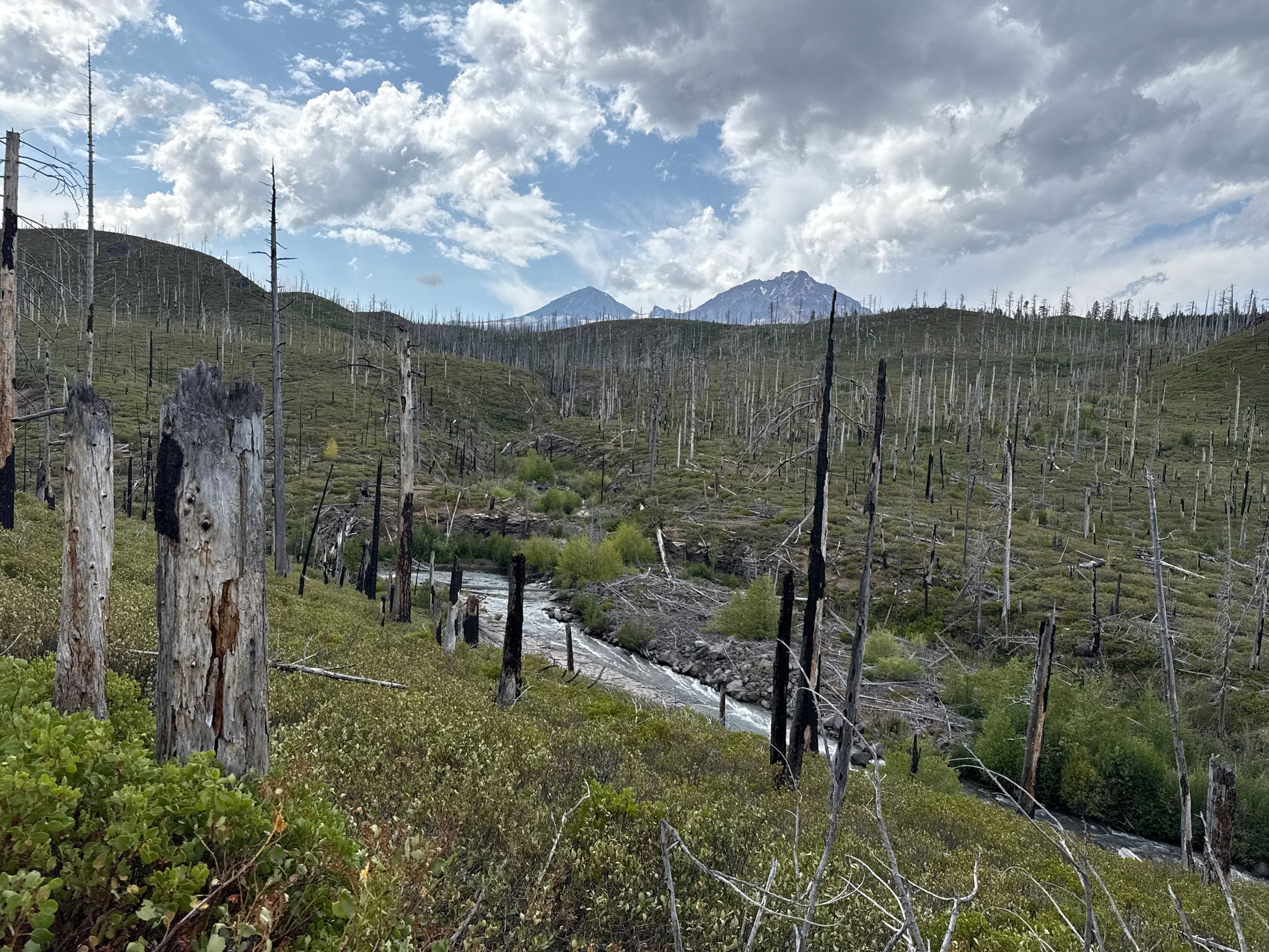 A river flows through a landscape of burned trees with mountains beyond. - Chush Falls Trail