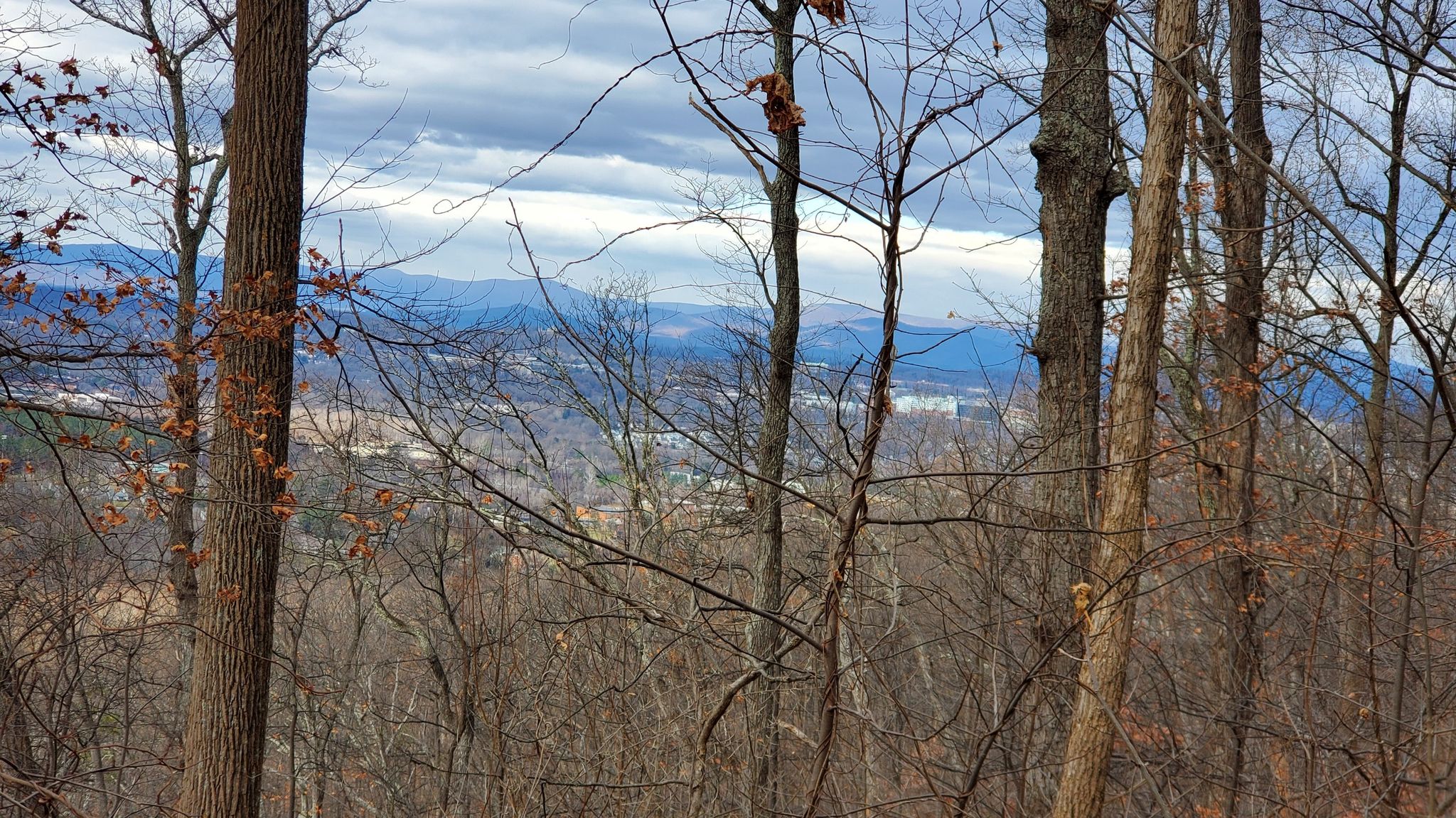 Bare trees frame a distant valley and cloudy mountain range. - Jason Stevens Loop