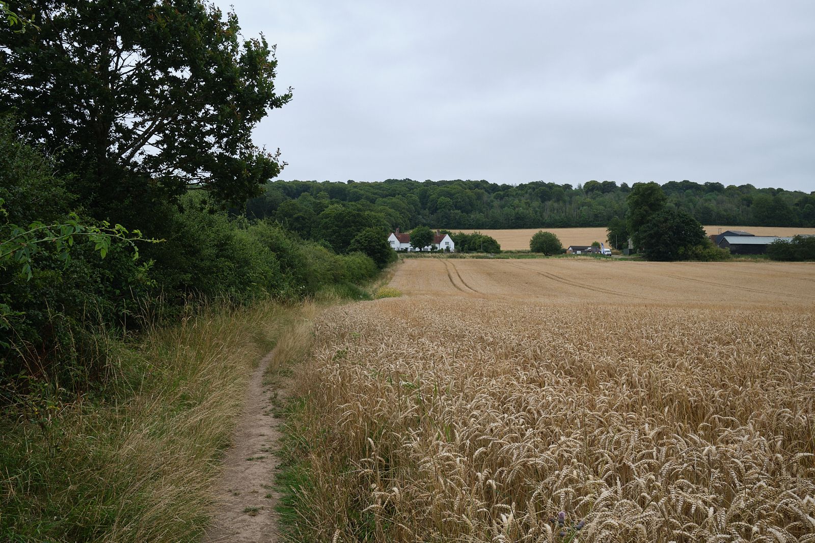 Ridgeway / Icknield Way