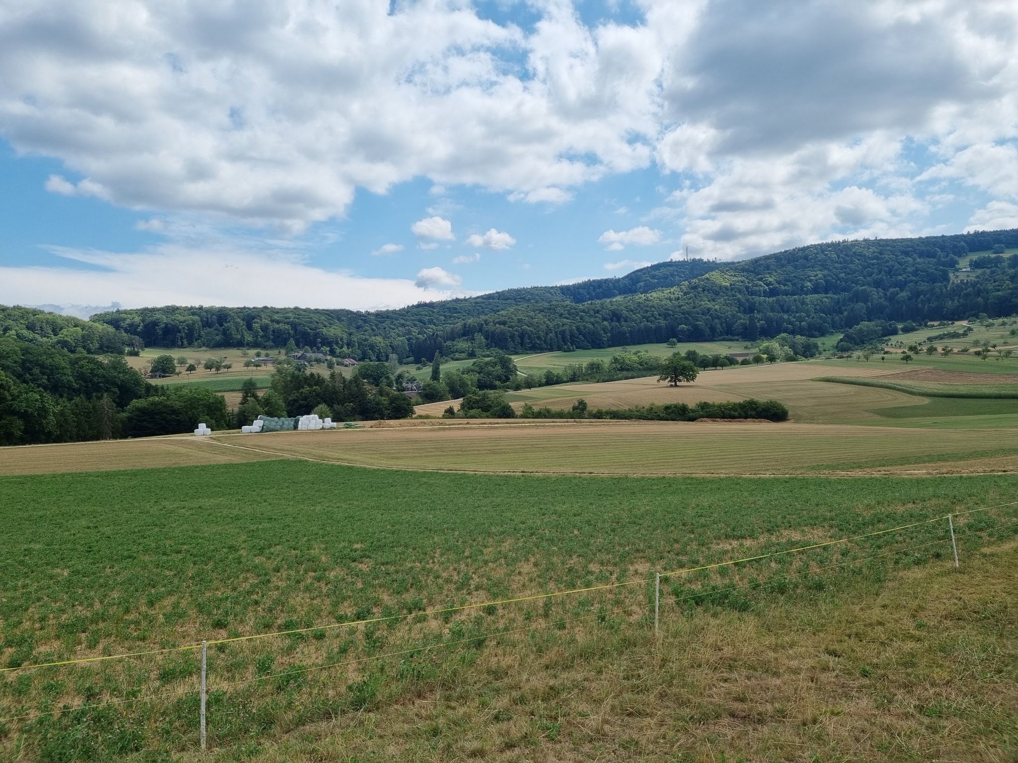 Holzenberg und Hof Rotengrund