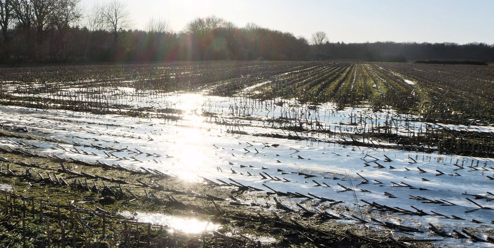 die Sonne im Acker-Teich