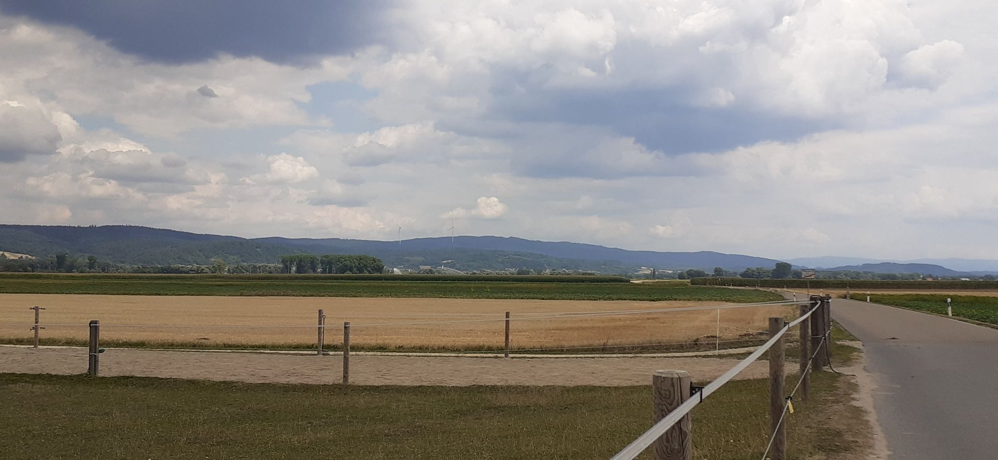 Blick Richtung Wörth / Donau